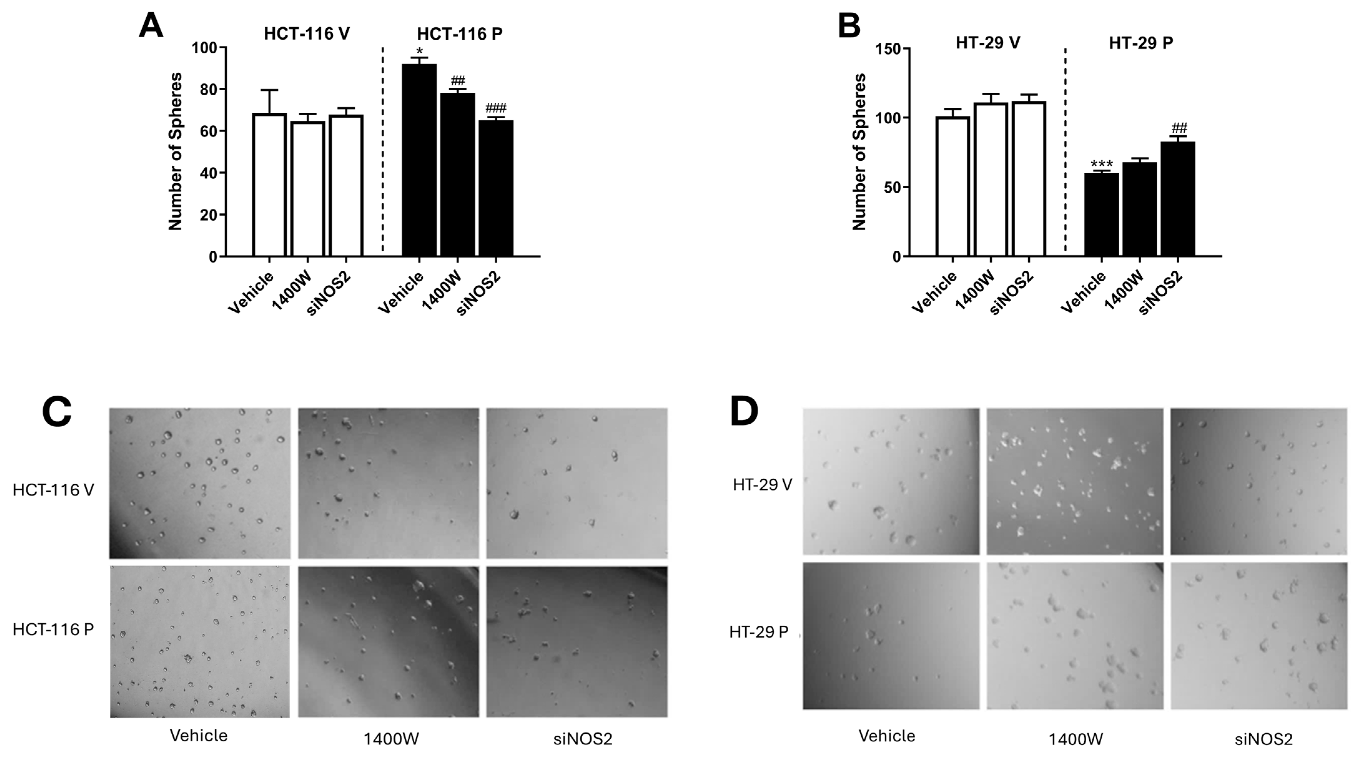 Biomolecules 15 00125 g009