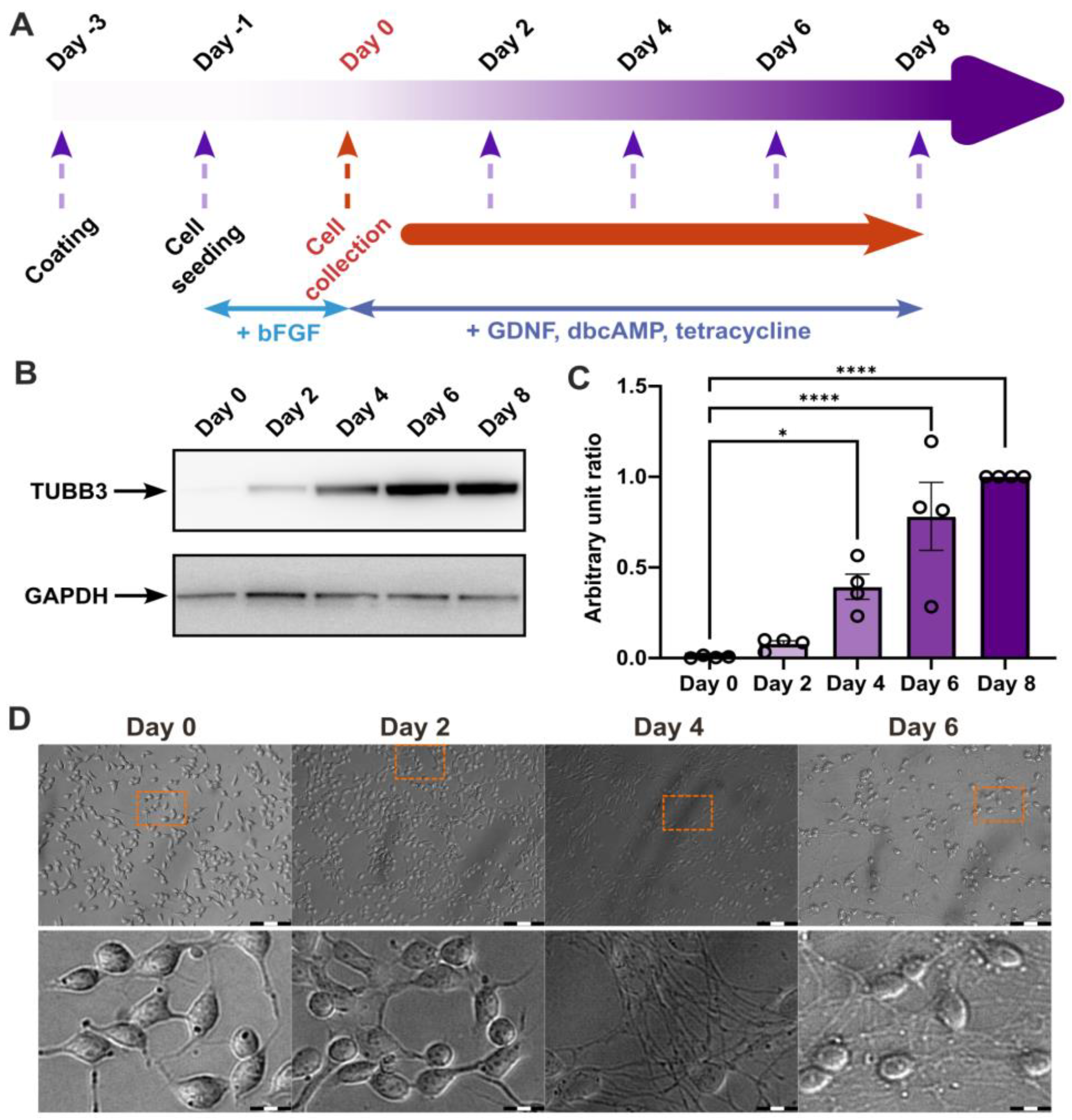 Biomolecules 15 00126 g001 Biomolecules 15 00126 g001