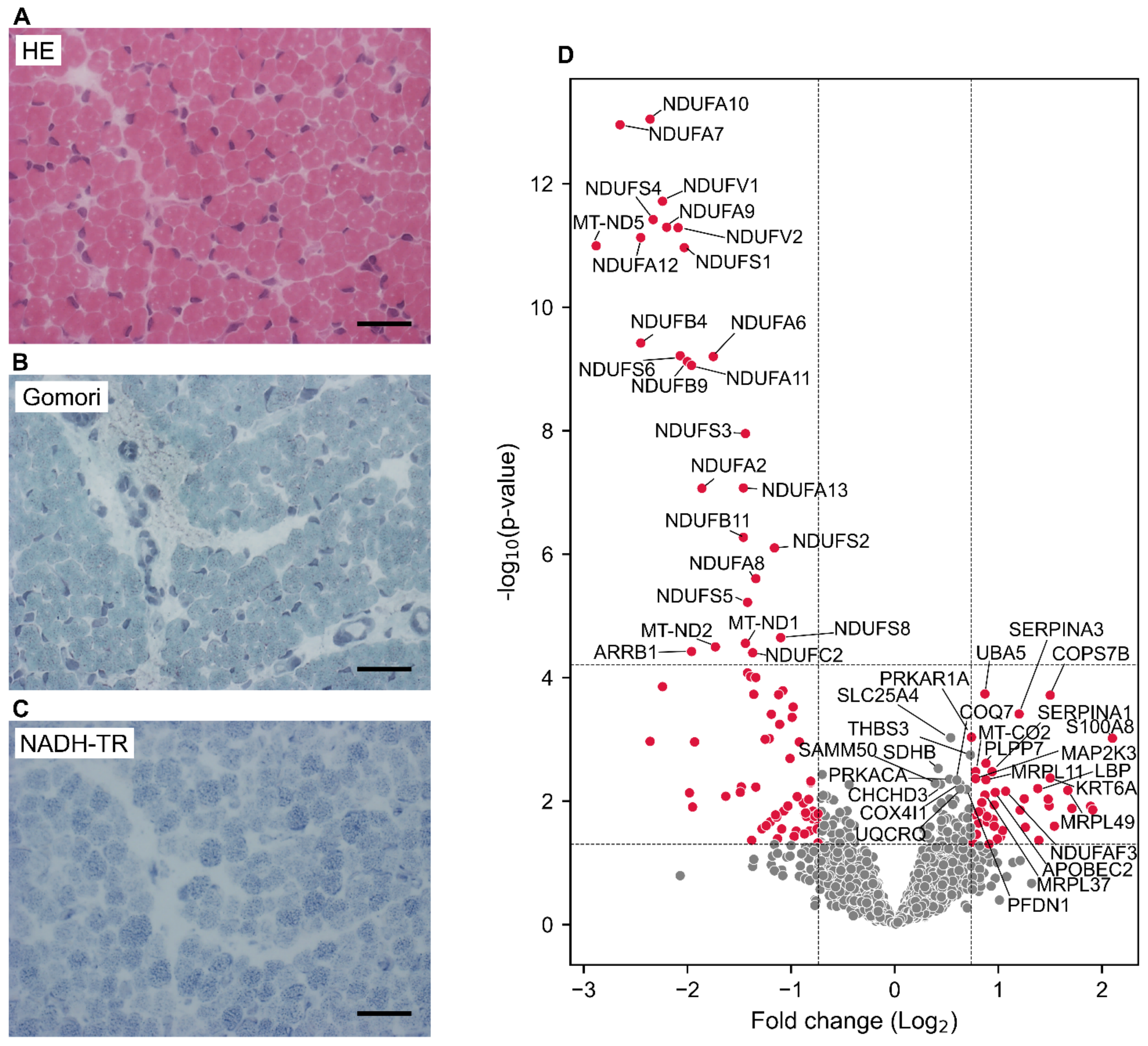 Biomolecules 15 00130 g0a3 Biomolecules 15 00130 g0a3