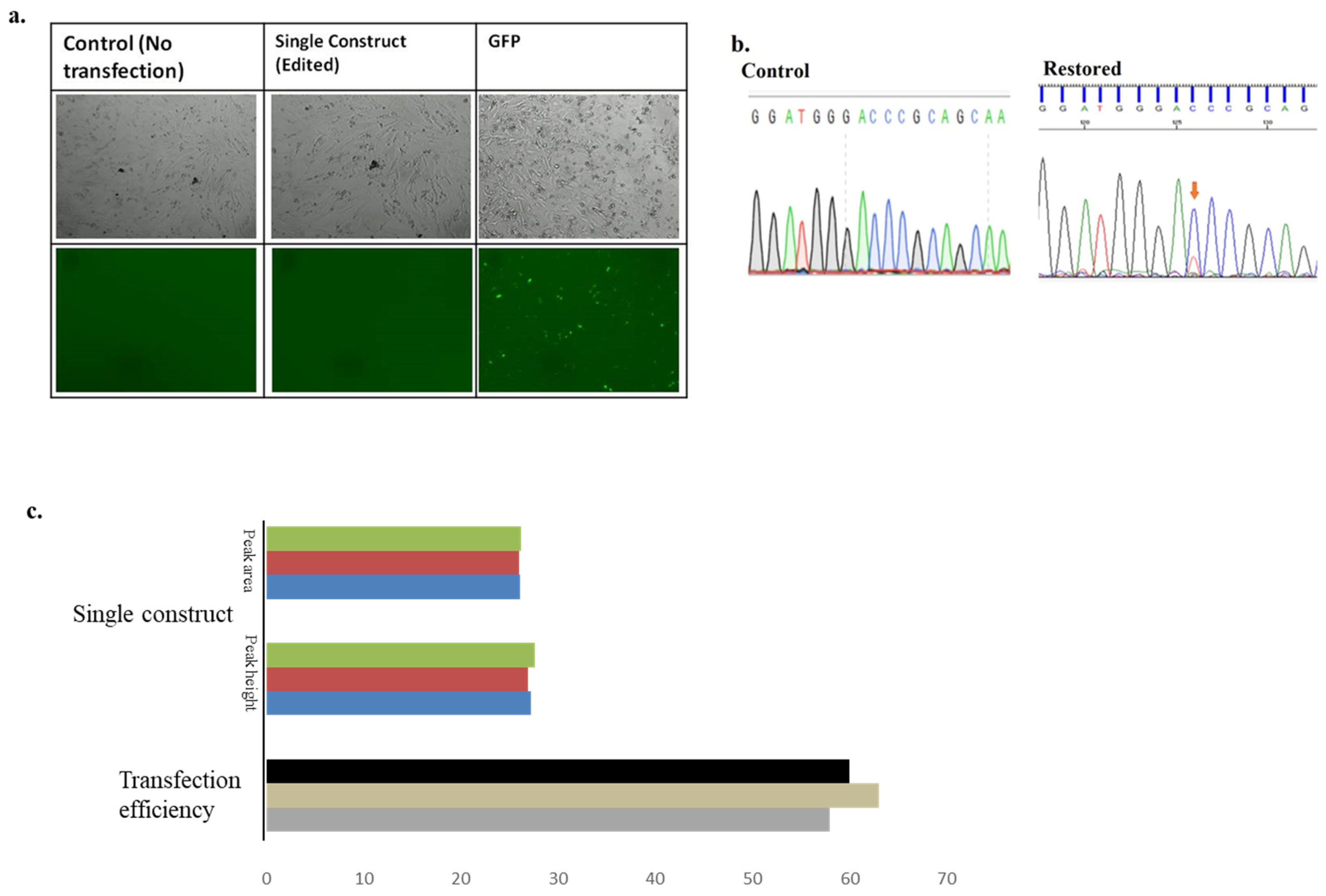 Biomolecules 15 00136 g003