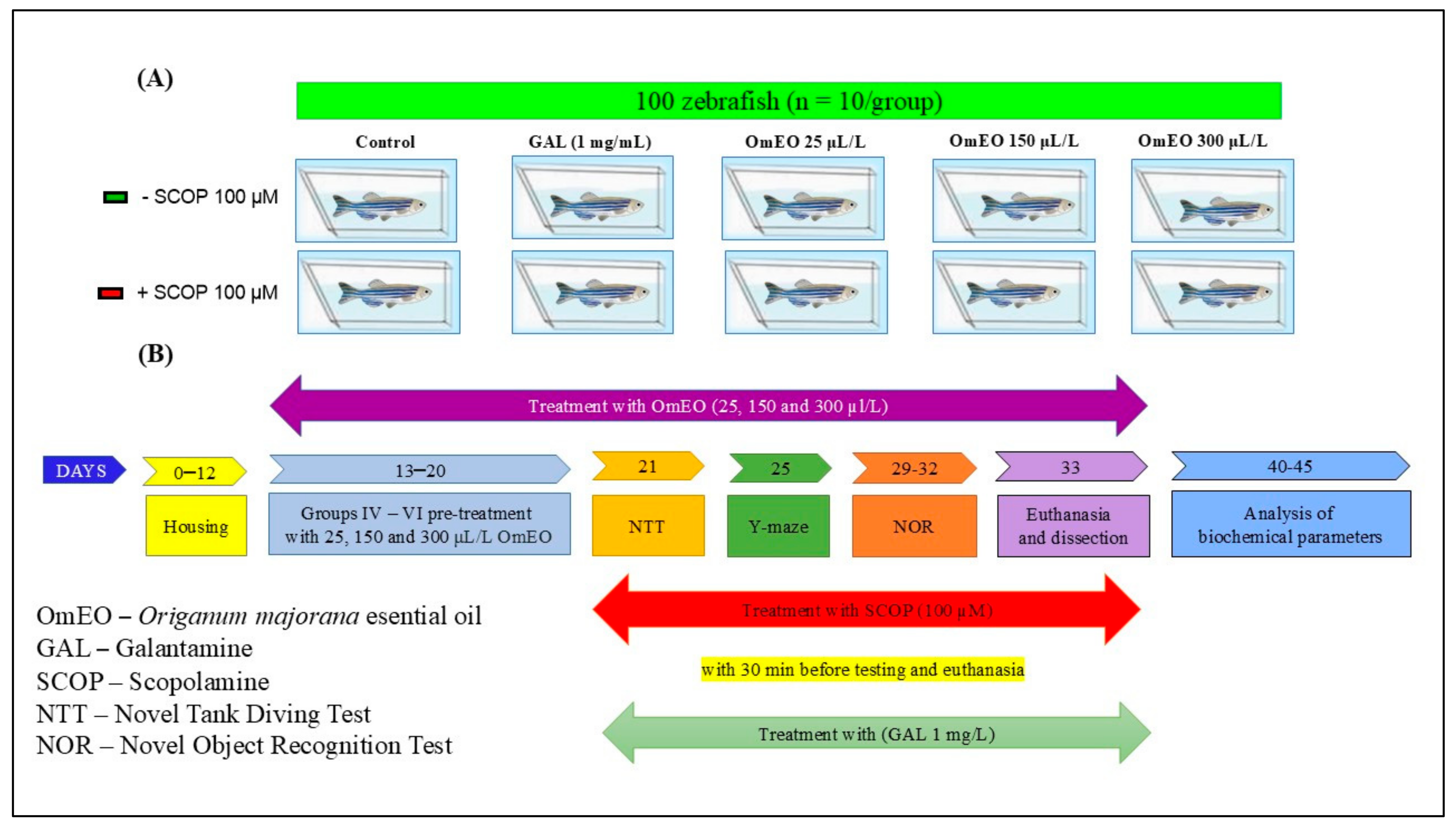 Biomolecules 15 00138 g001