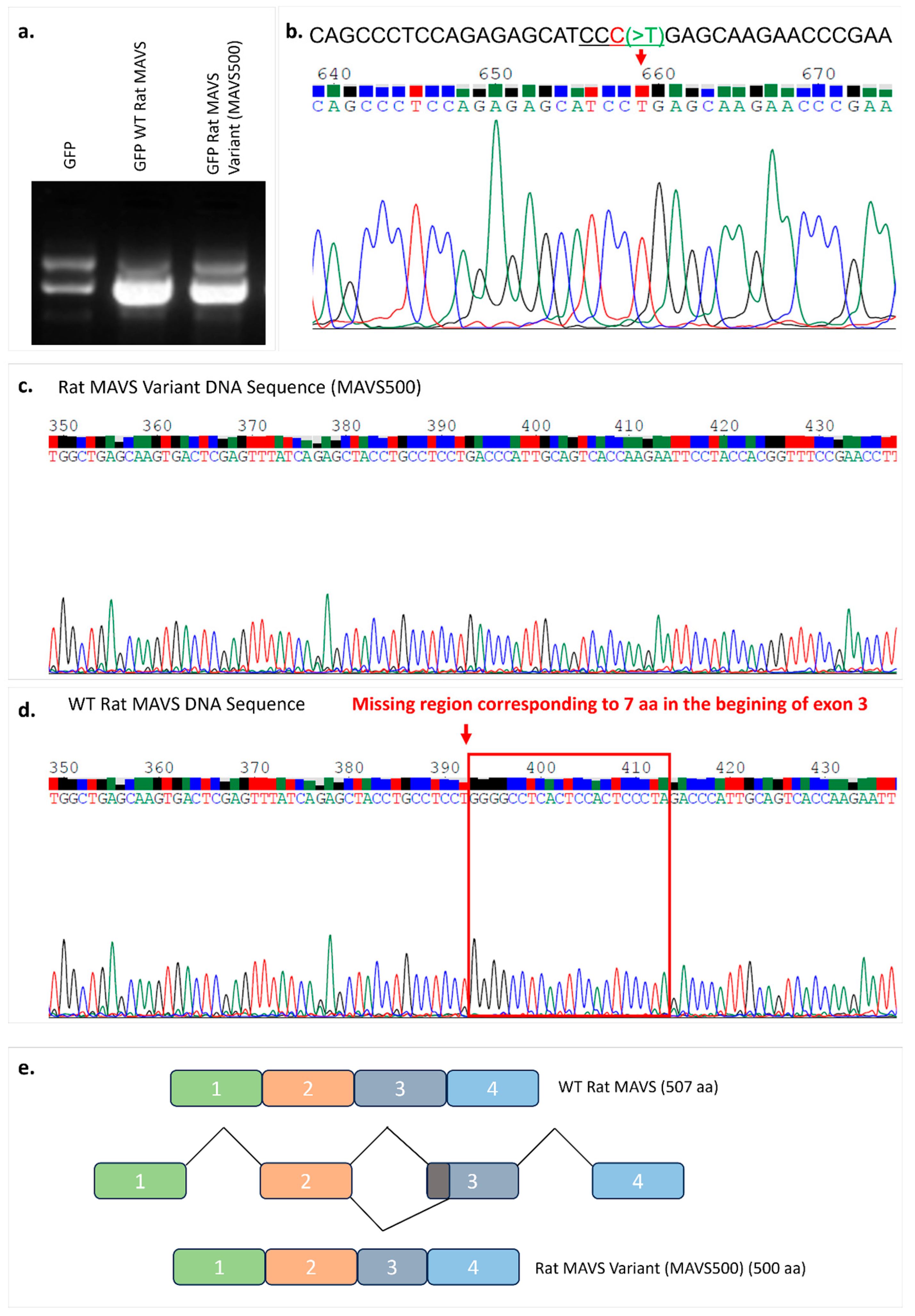 Biomolecules 15 00139 g001