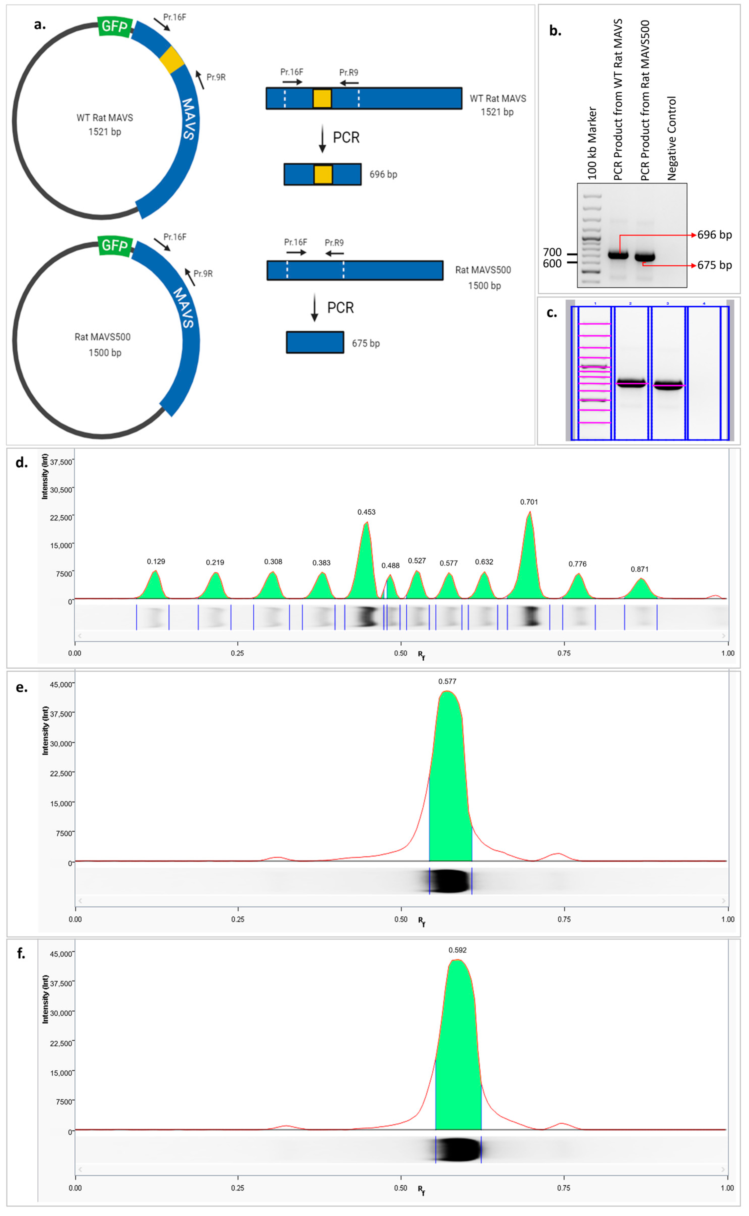 Biomolecules 15 00139 g002