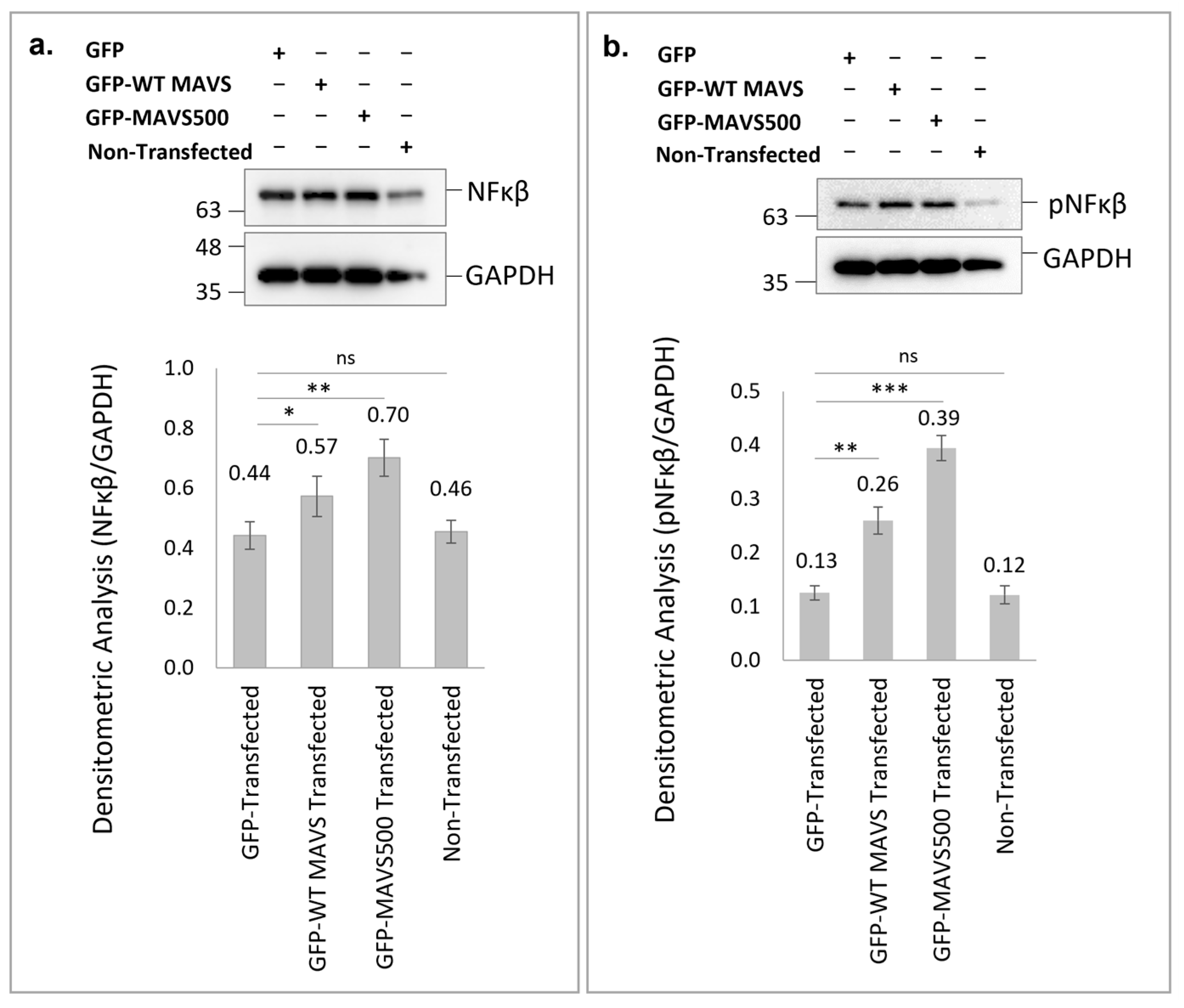 Biomolecules 15 00139 g005