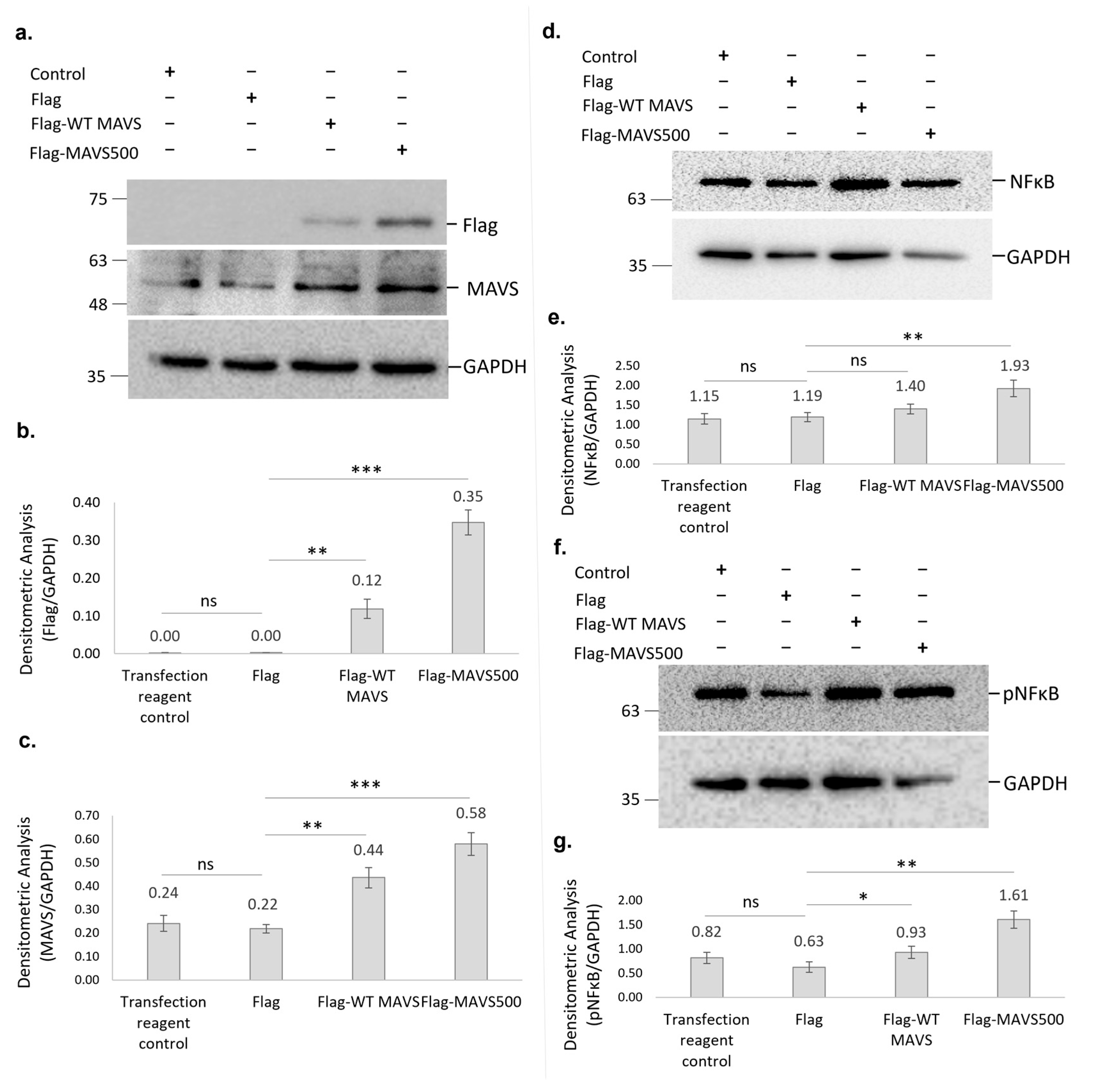 Biomolecules 15 00139 g007