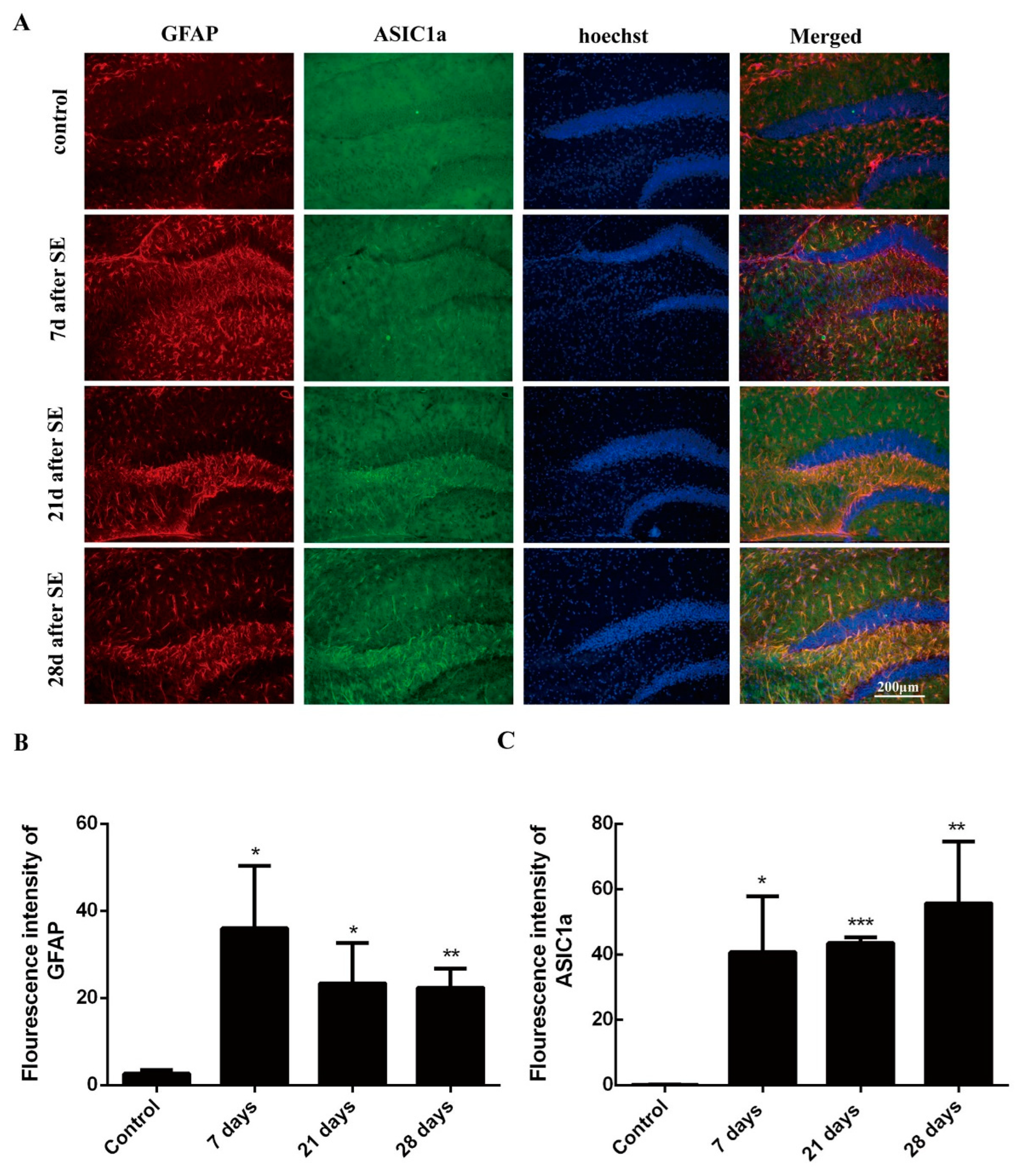 Biomolecules 15 00142 g001