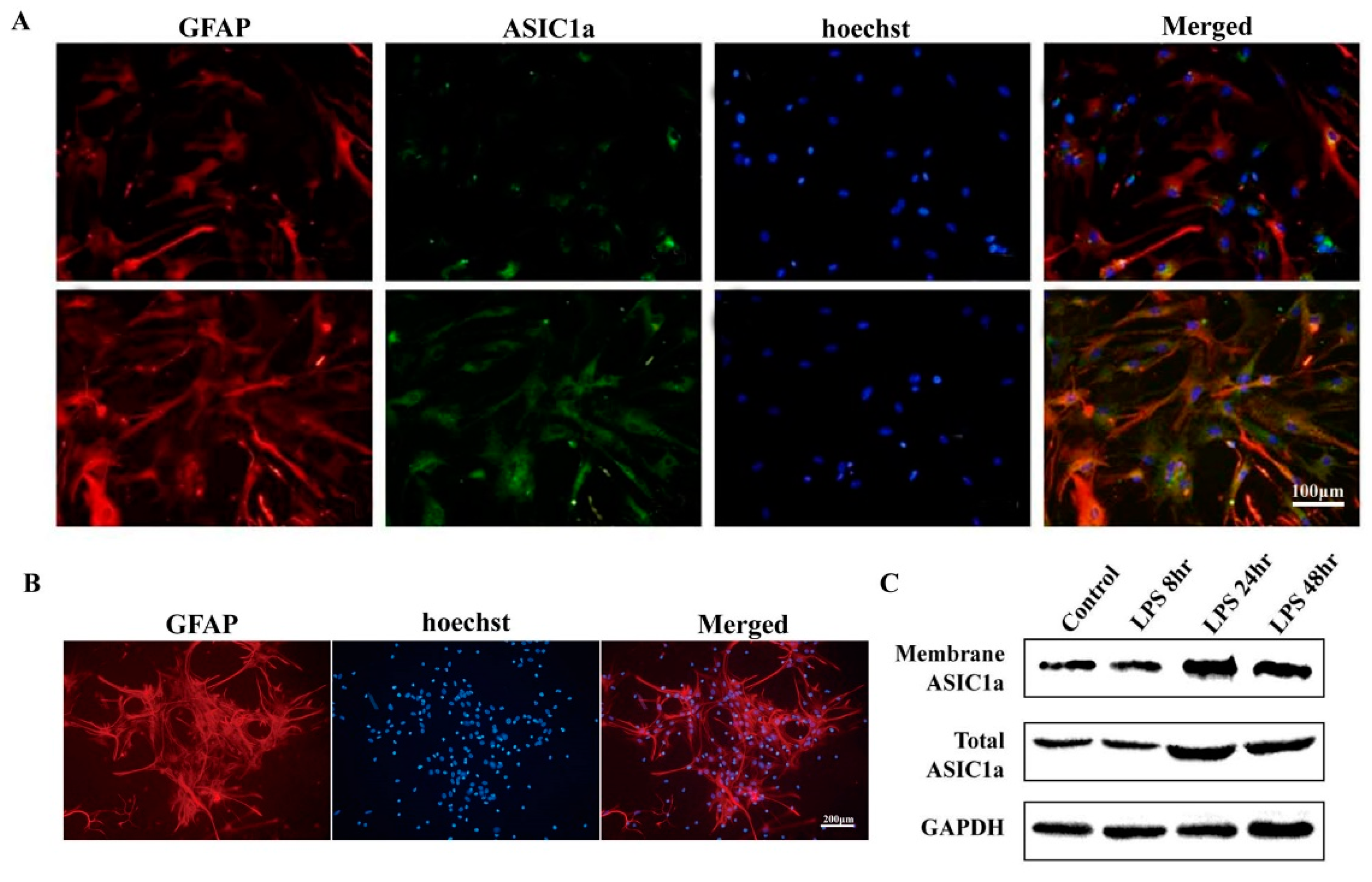 Biomolecules 15 00142 g002