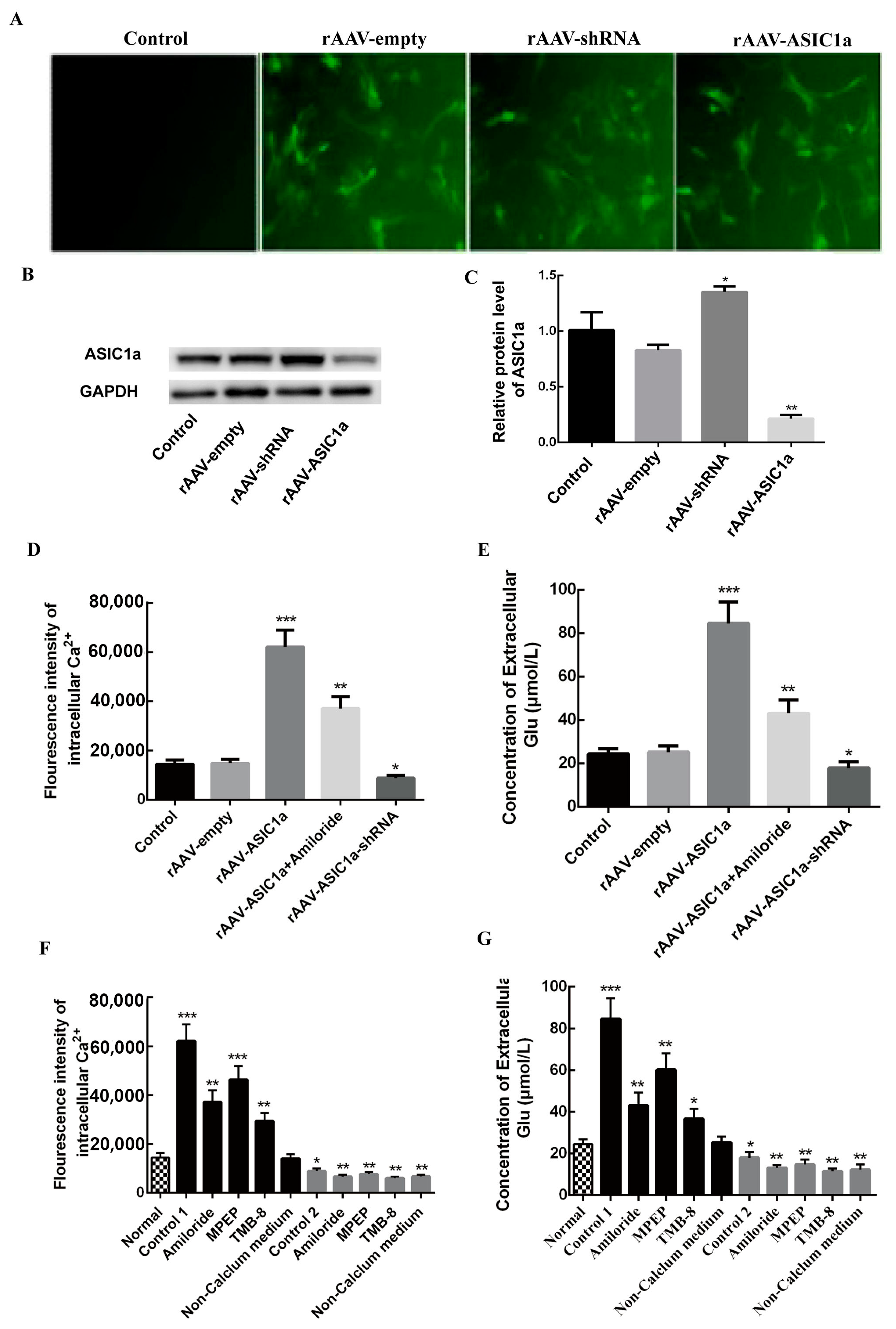 Biomolecules 15 00142 g004