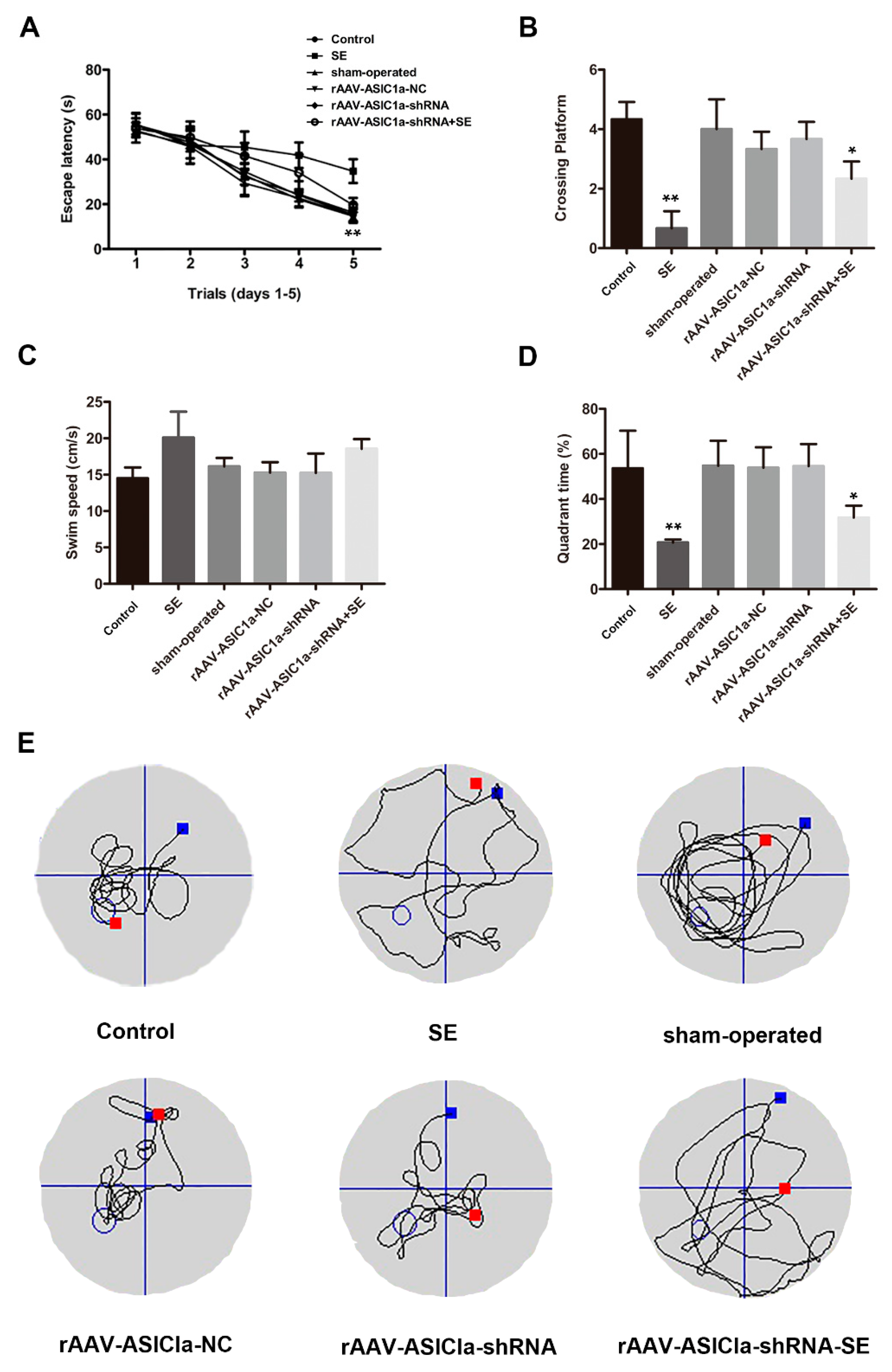 Biomolecules 15 00142 g006