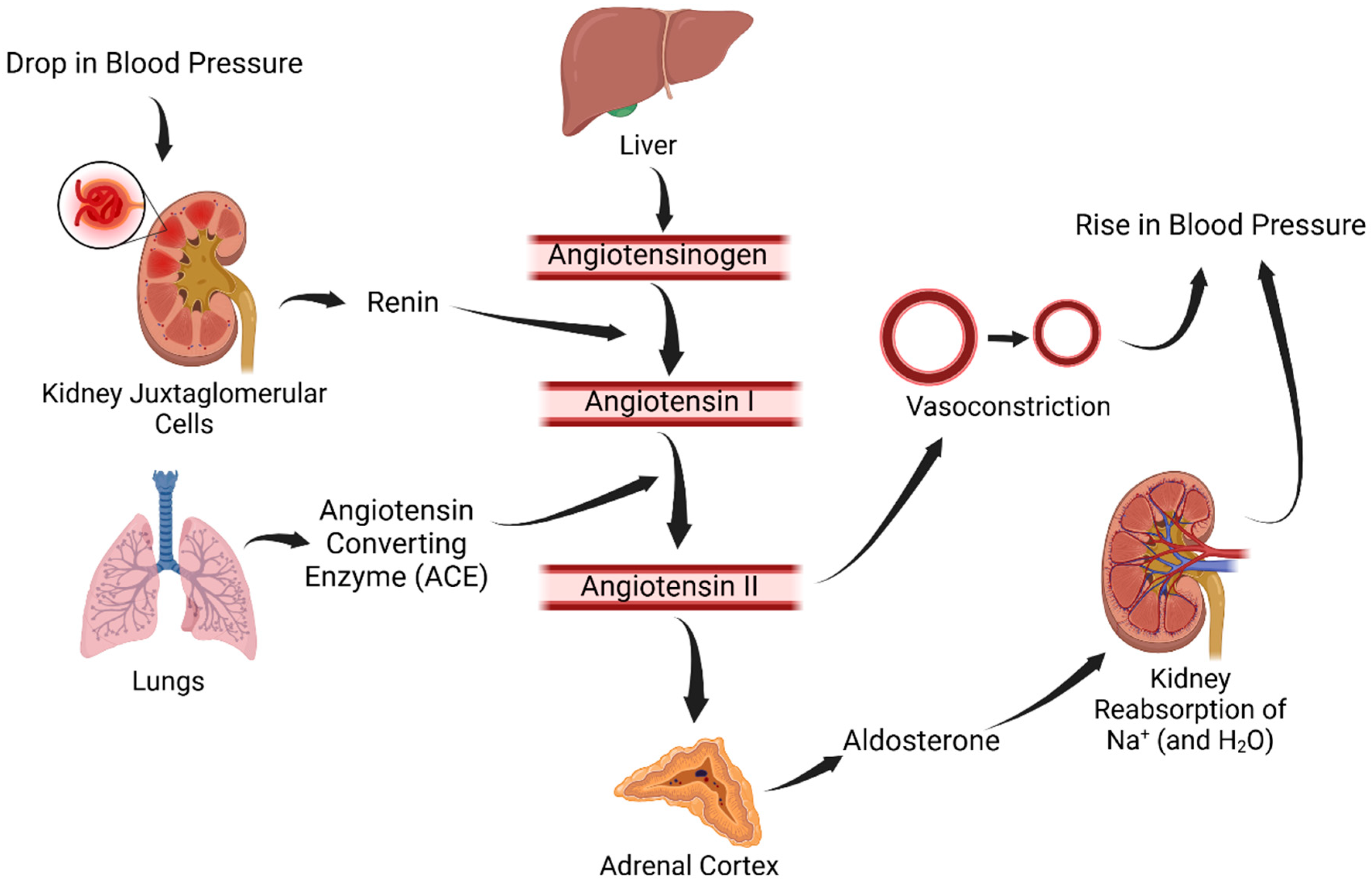 Biomolecules 15 00143 g002