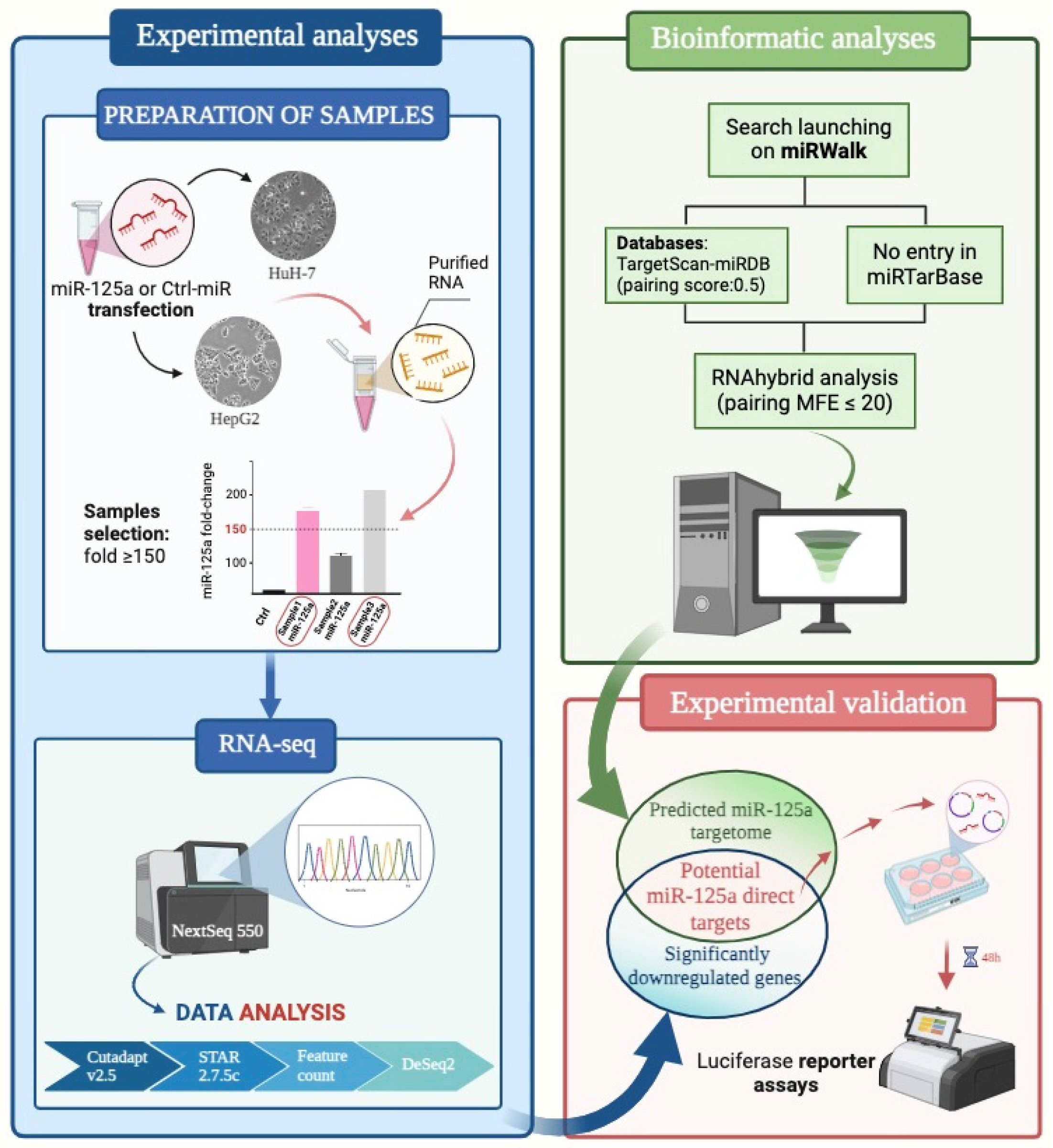 Biomolecules 15 00144 g001