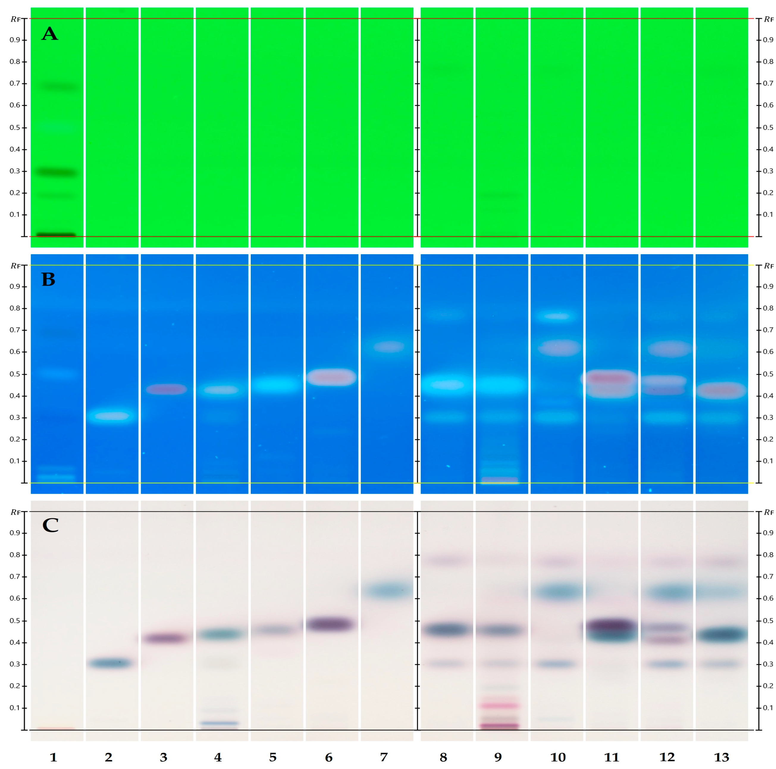 Biomolecules 15 00147 g002 Biomolecules 15 00147 g002