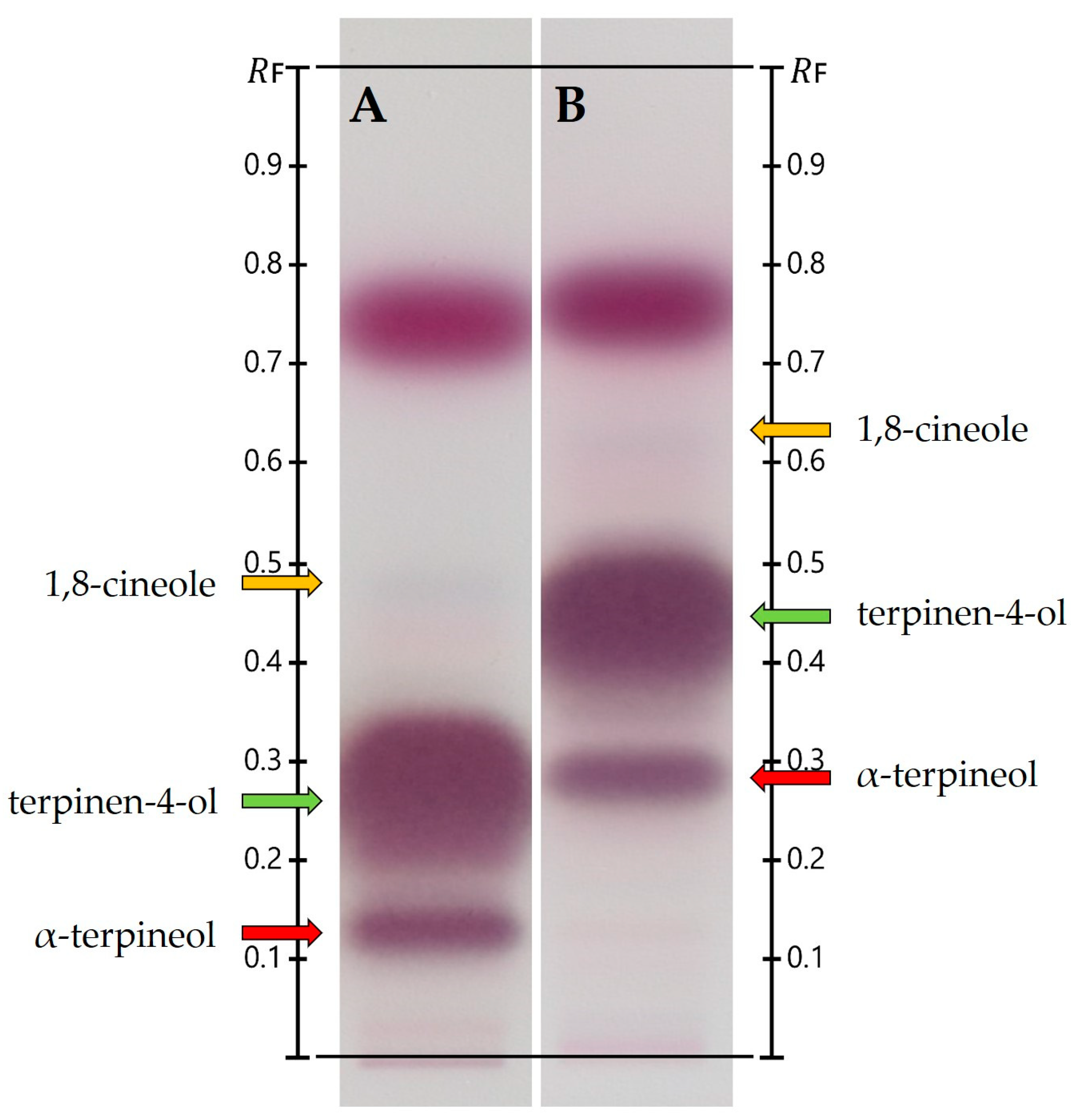 Biomolecules 15 00147 g003 Biomolecules 15 00147 g003