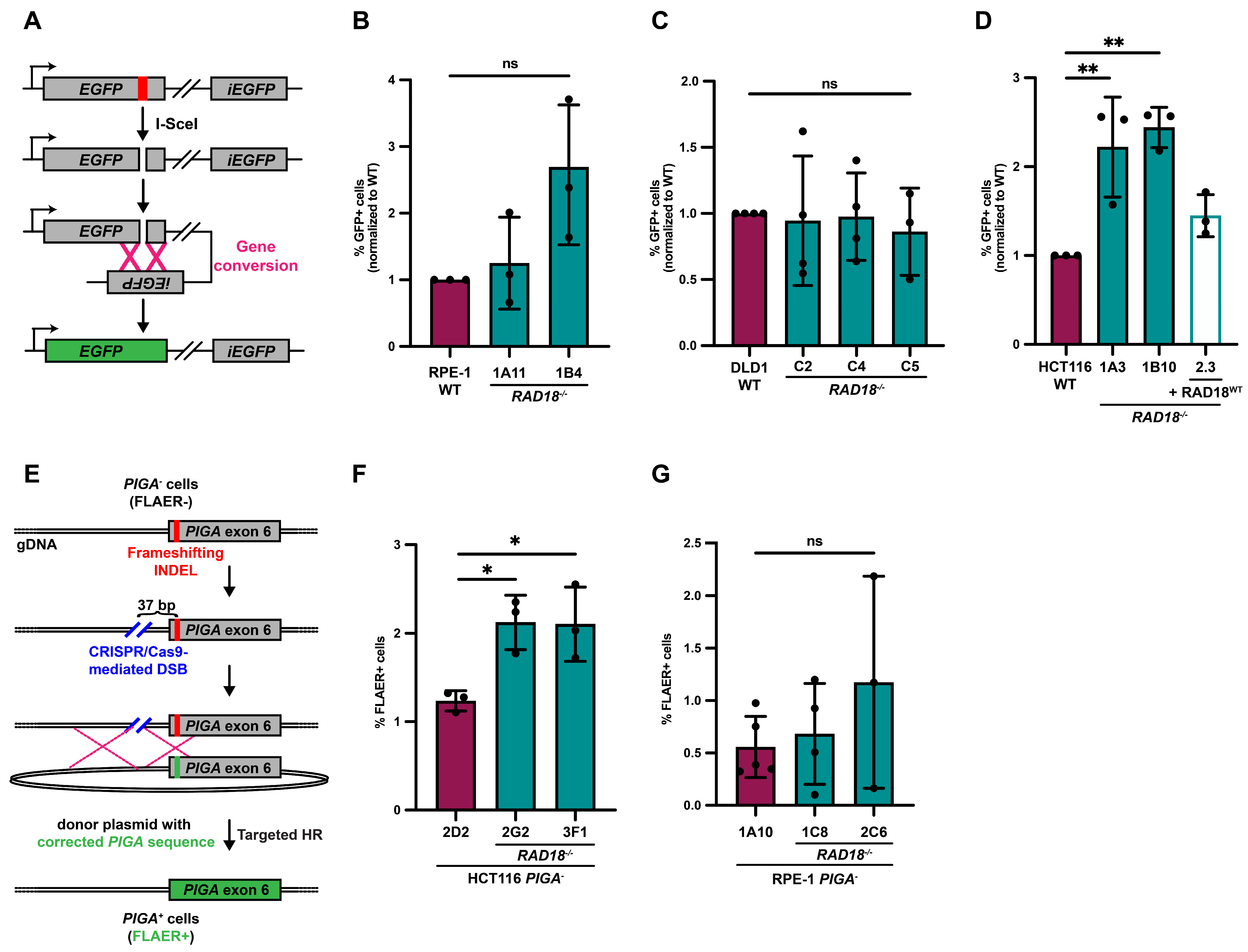 Biomolecules 15 00150 g002