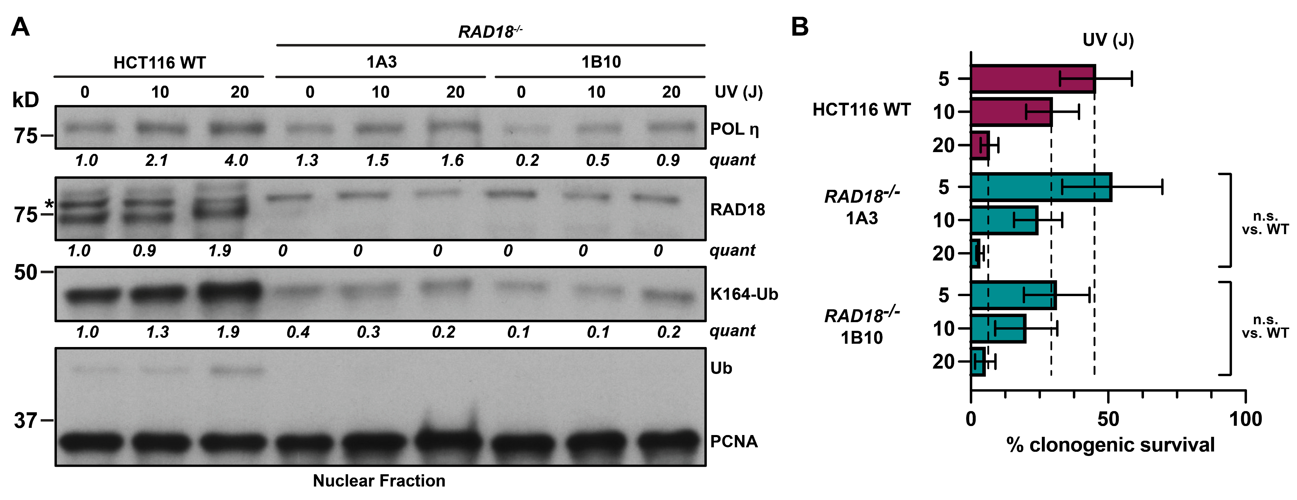 Biomolecules 15 00150 g003
