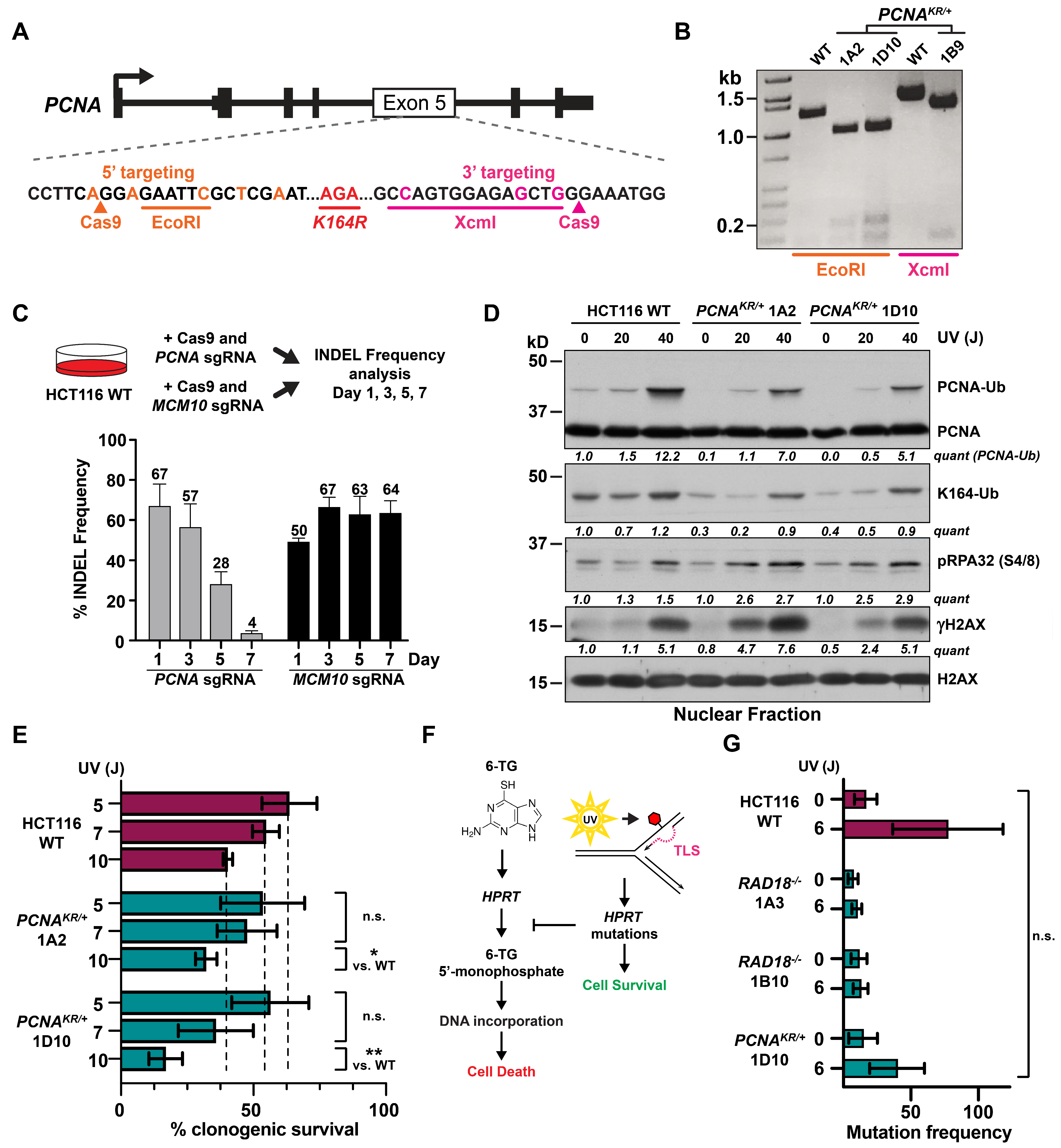 Biomolecules 15 00150 g004