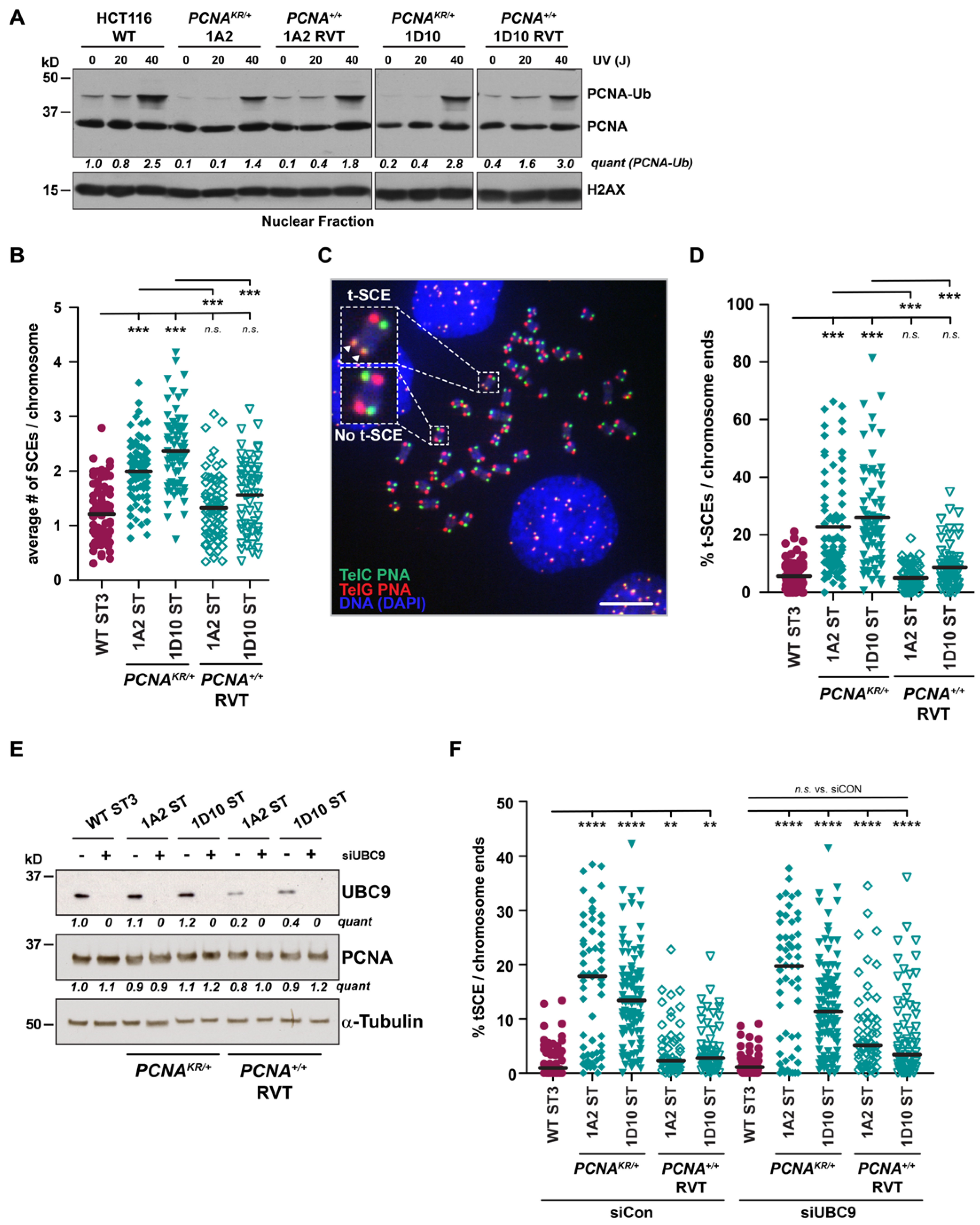 Biomolecules 15 00150 g005