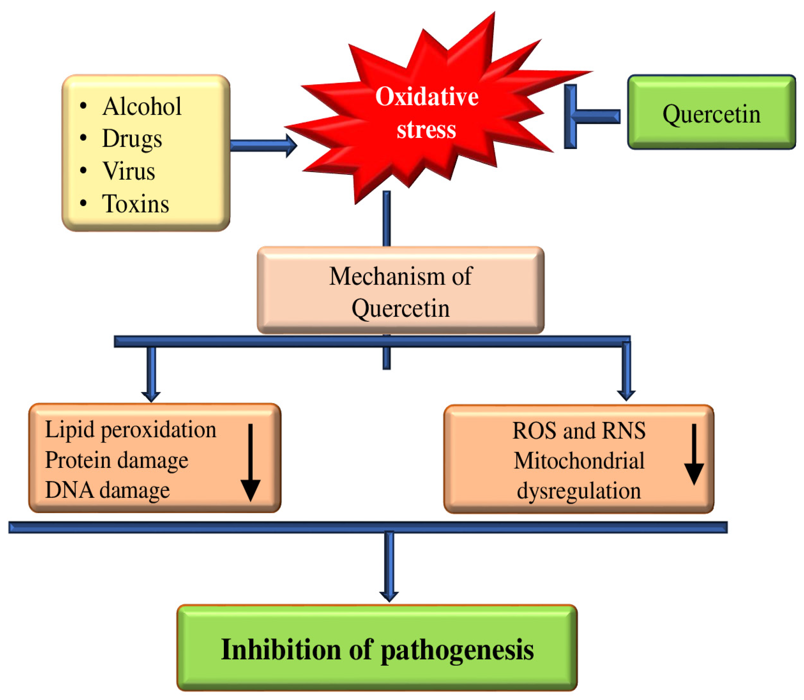 Biomolecules 15 00151 g003
