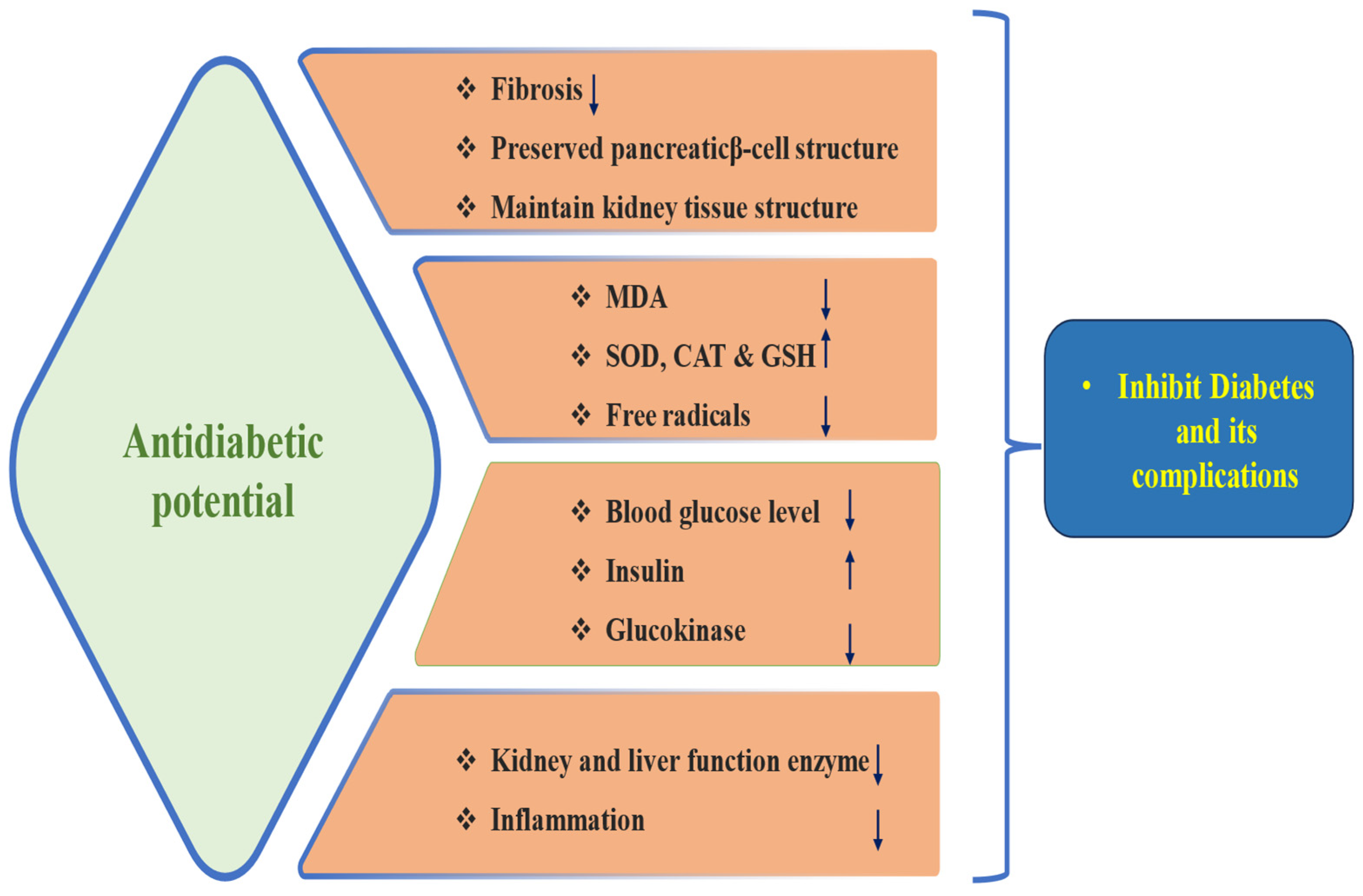 Biomolecules 15 00151 g004