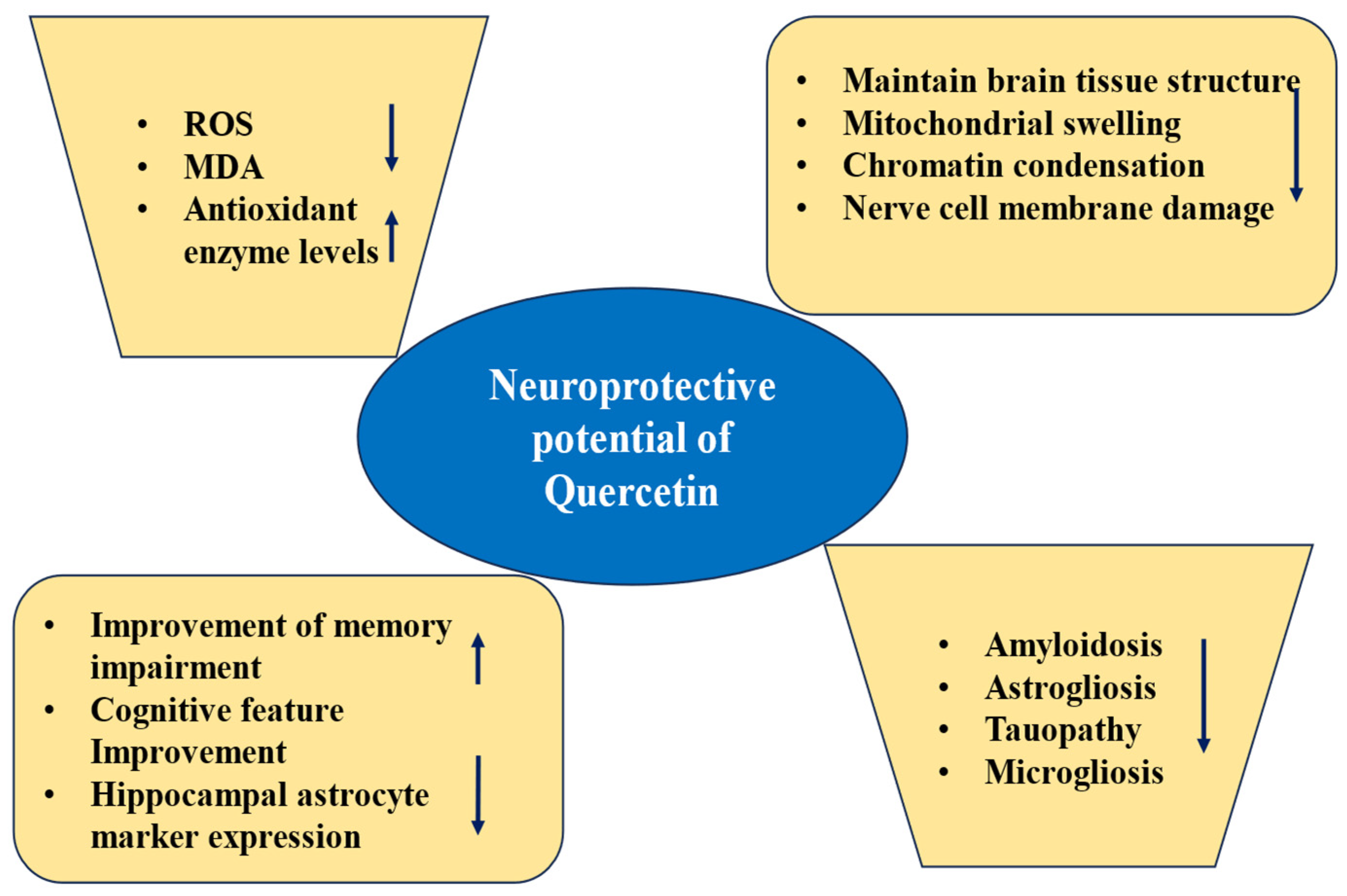 Biomolecules 15 00151 g006