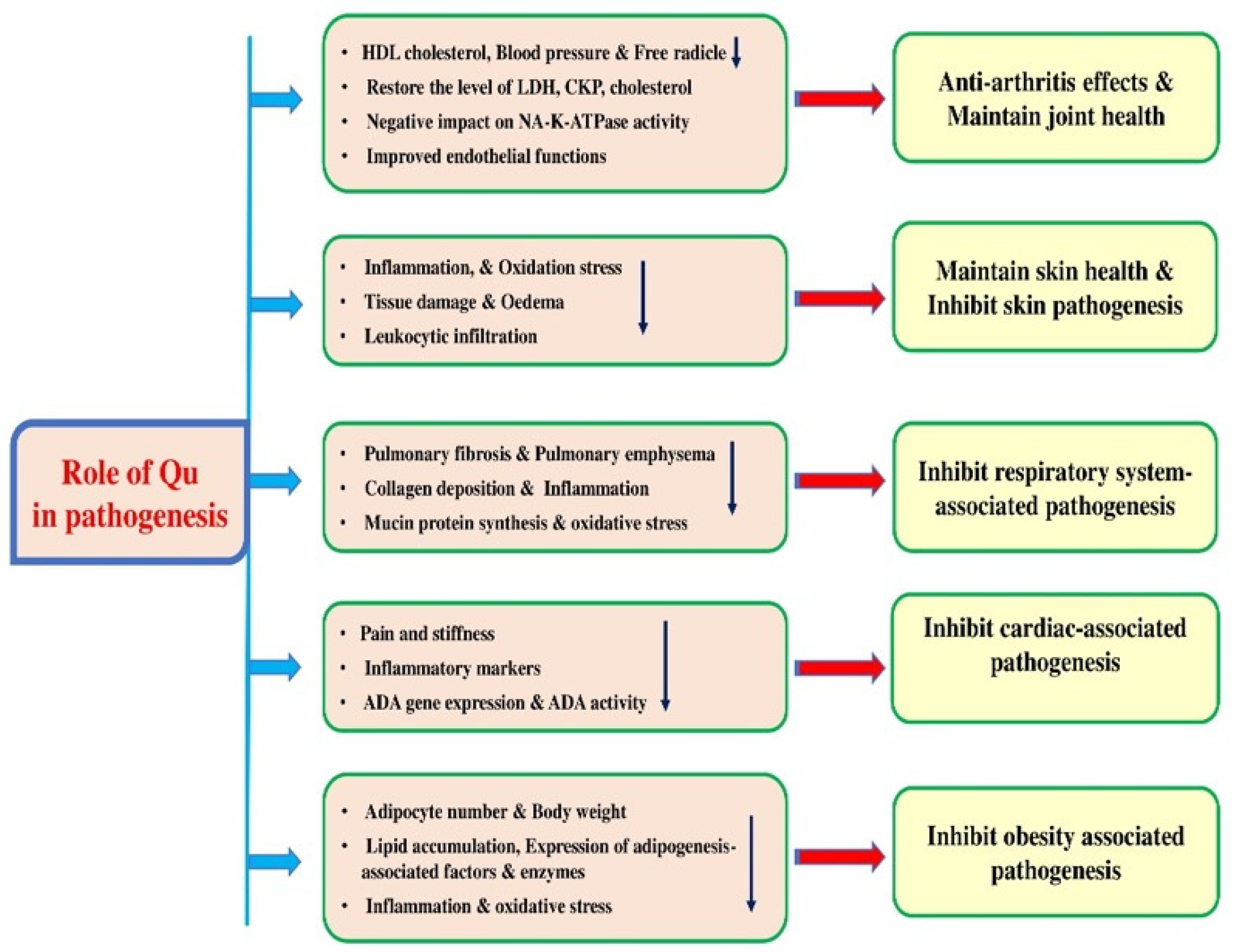 Biomolecules 15 00151 g007