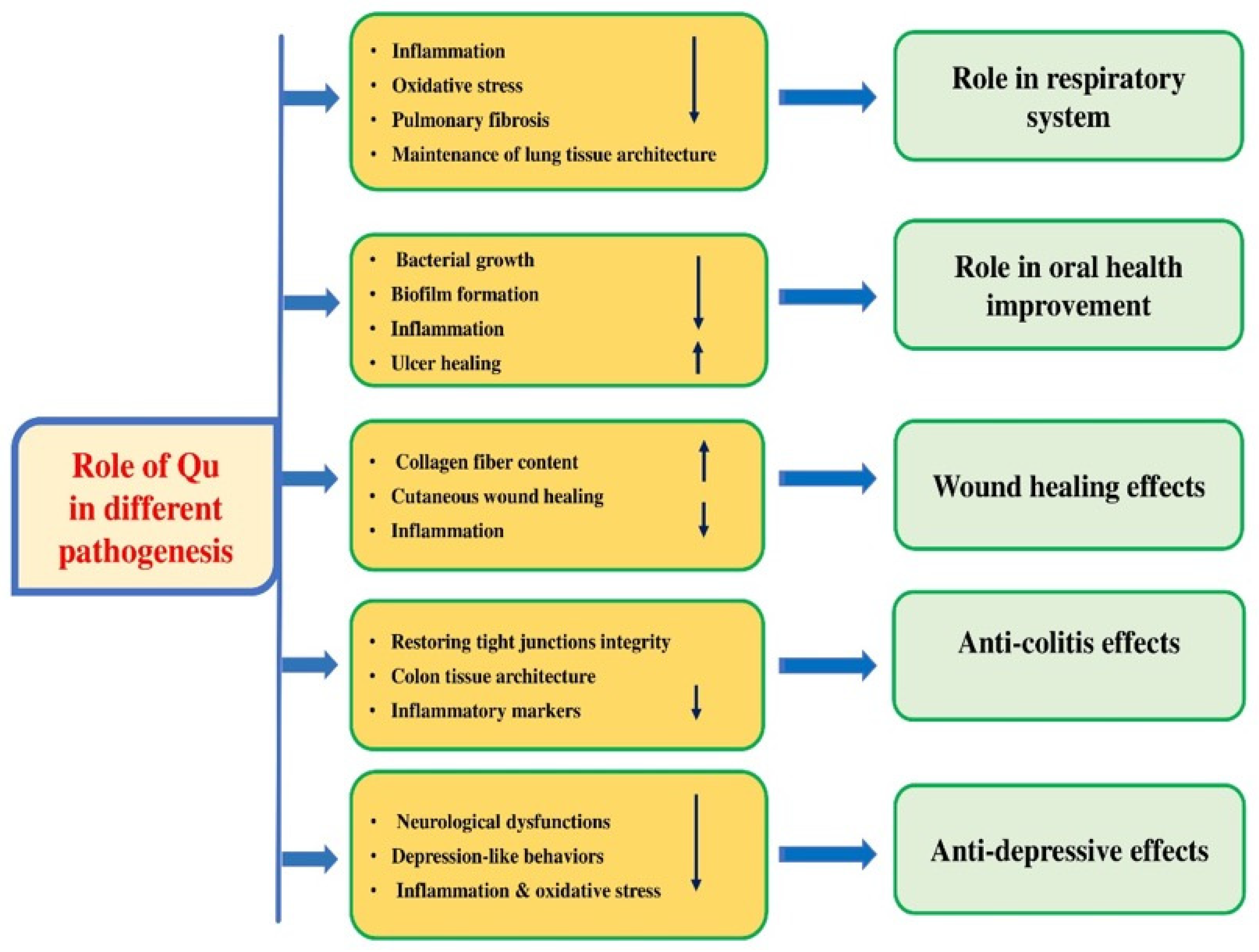 Biomolecules 15 00151 g008