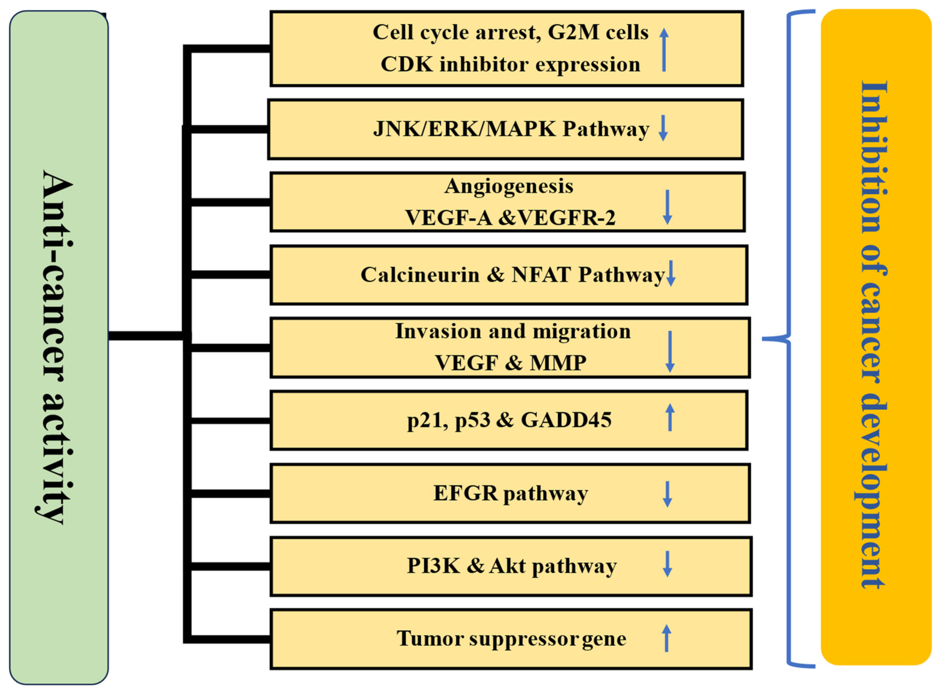 Biomolecules 15 00151 g009