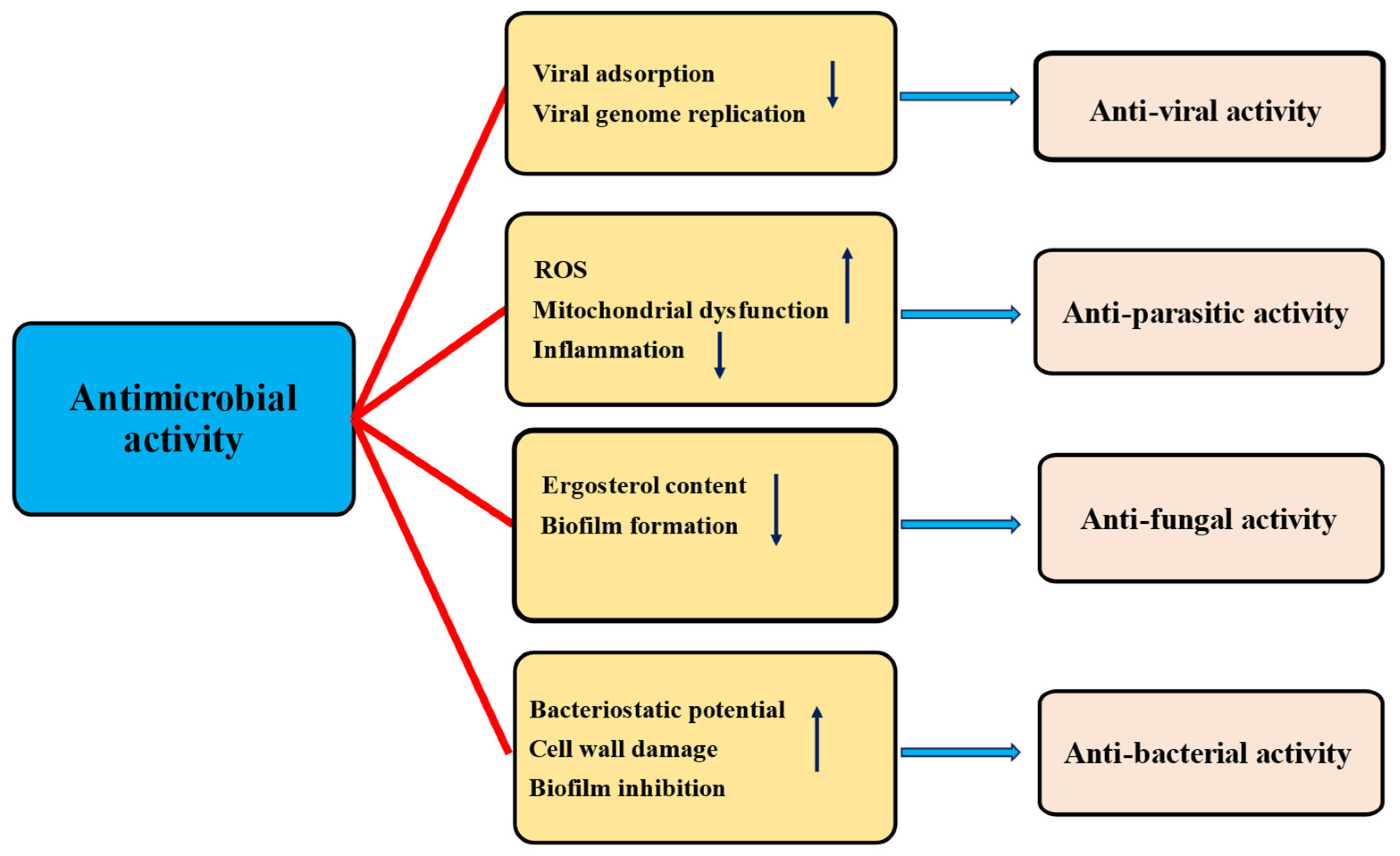 Biomolecules 15 00151 g010