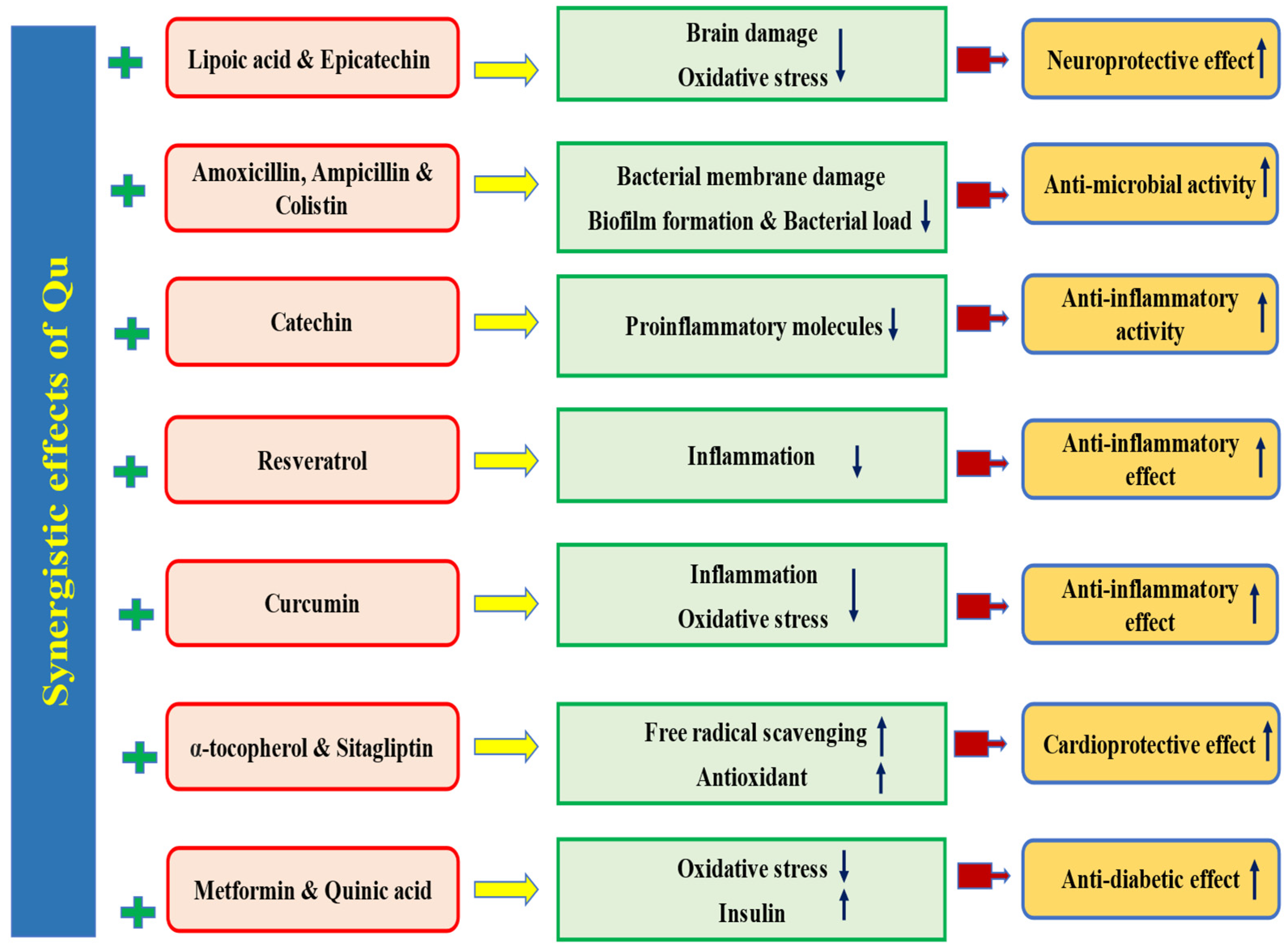 Biomolecules 15 00151 g011