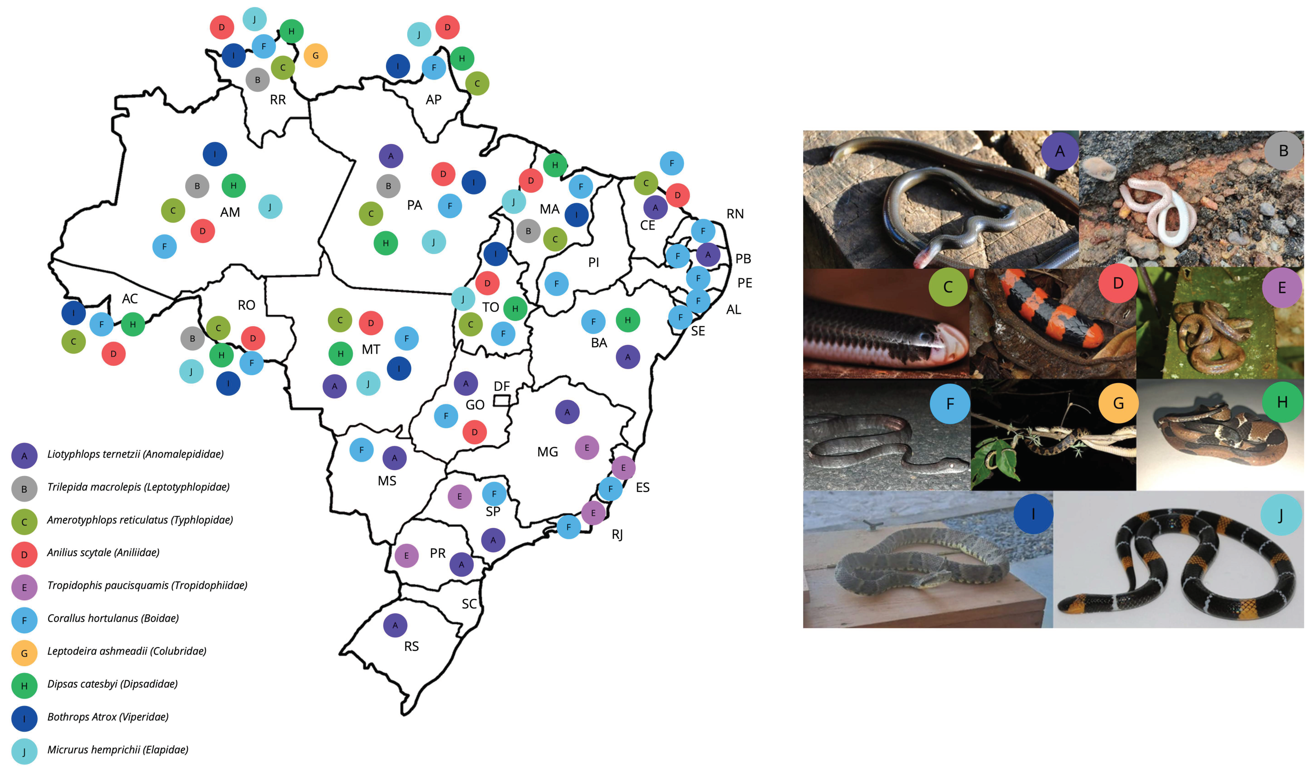 Biomolecules 15 00154 g002 Biomolecules 15 00154 g002