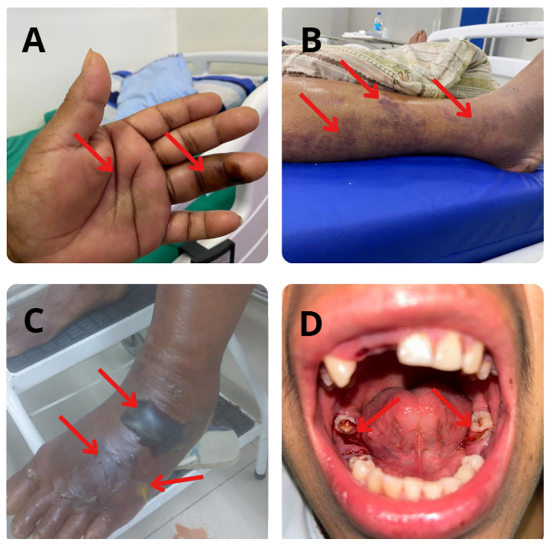 Biomolecules 15 00154 g003 Biomolecules 15 00154 g003