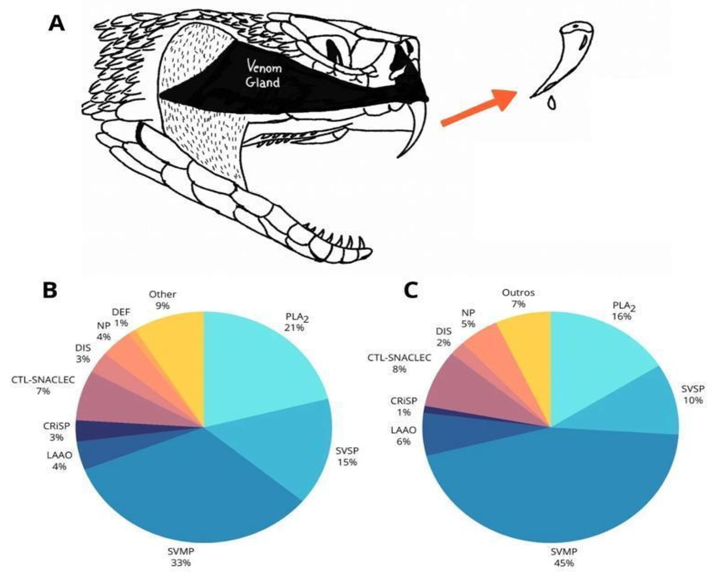 Biomolecules 15 00154 g004 Biomolecules 15 00154 g004