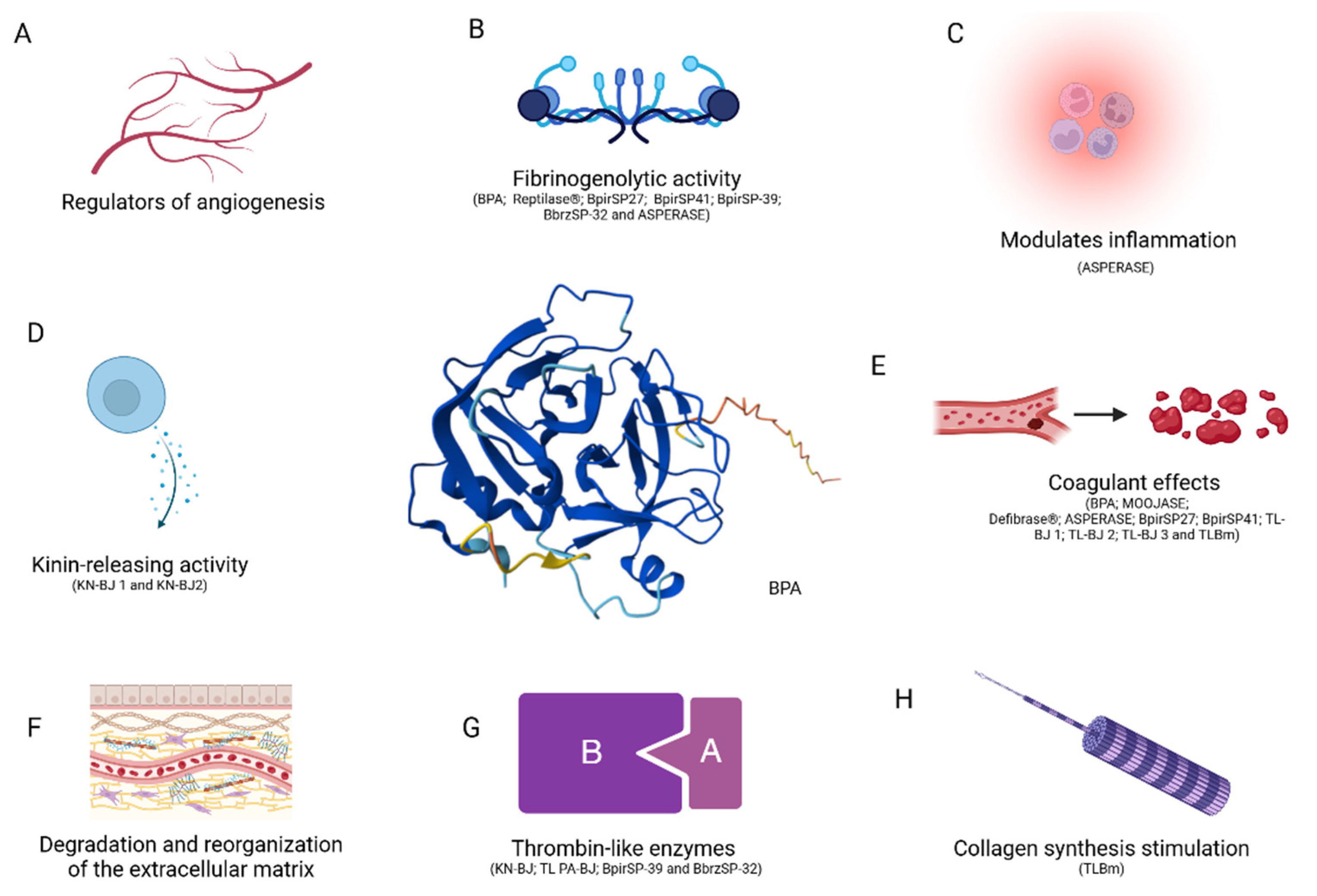 Biomolecules 15 00154 g007 Biomolecules 15 00154 g007
