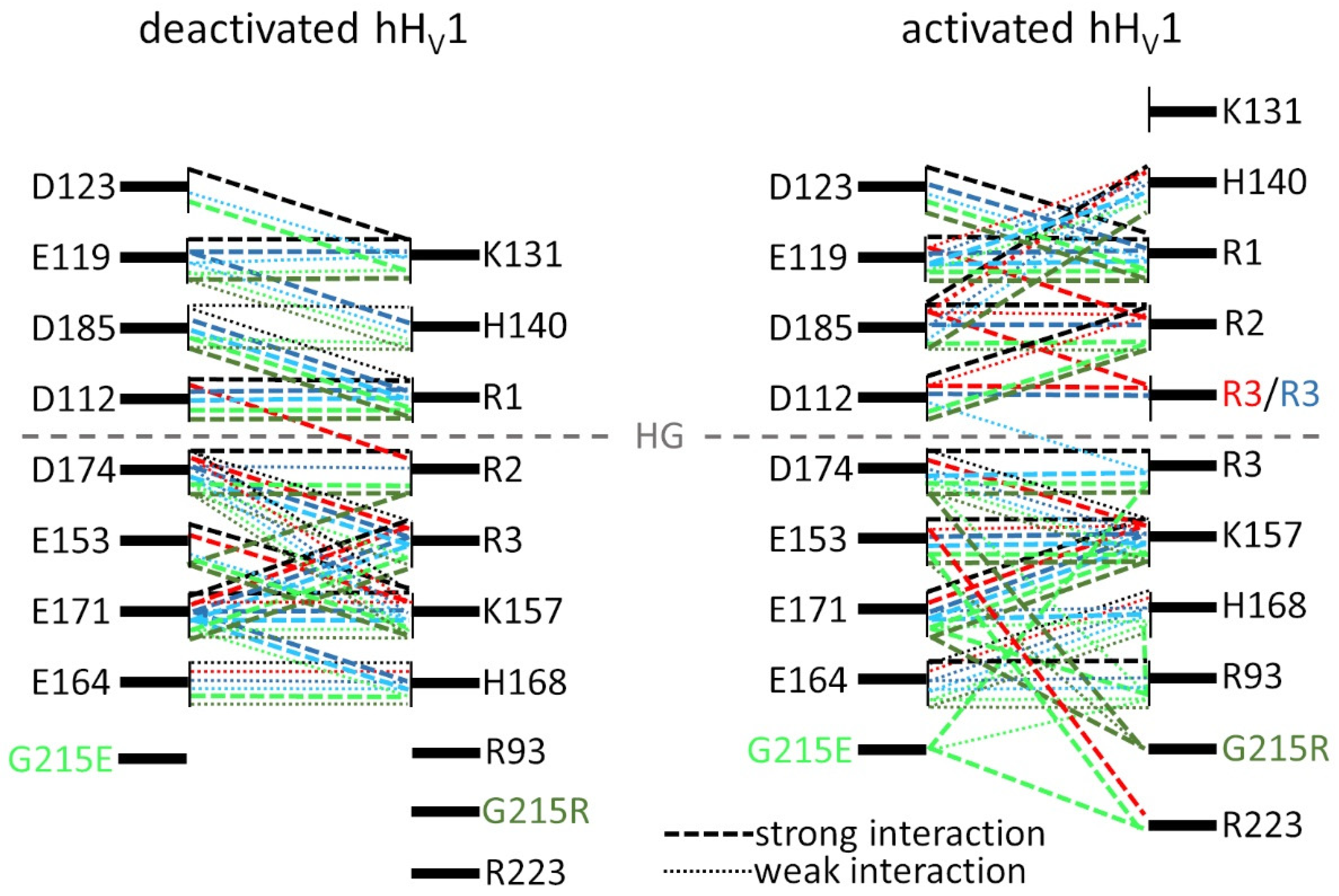 Biomolecules 15 00156 g005