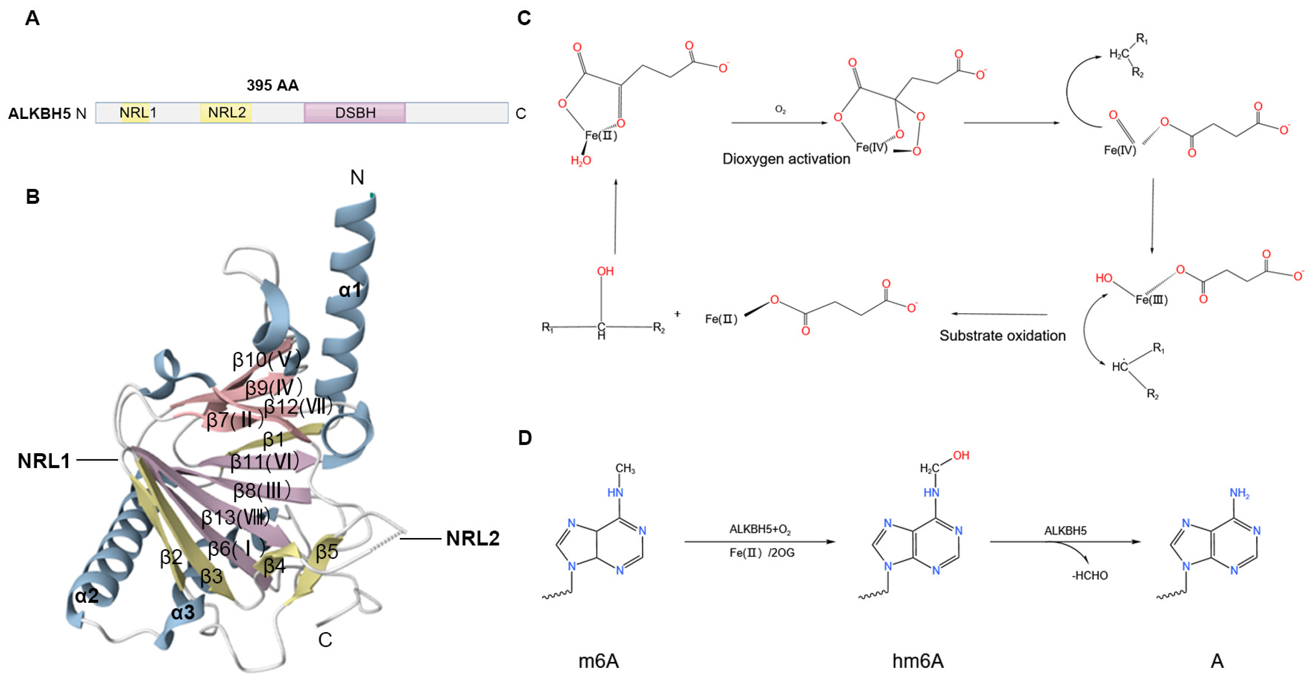 Biomolecules 15 00157 g001