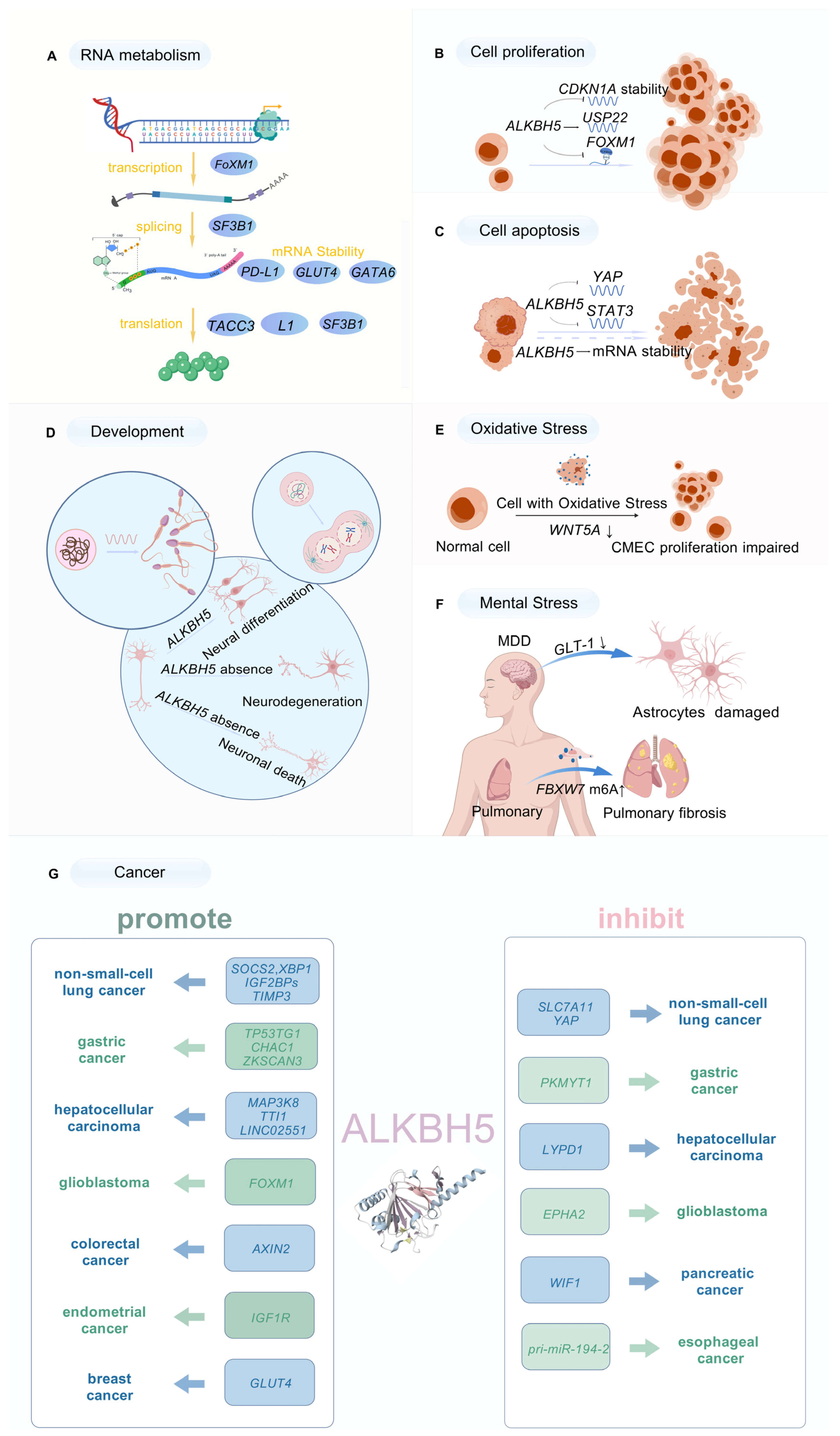 Biomolecules 15 00157 g002