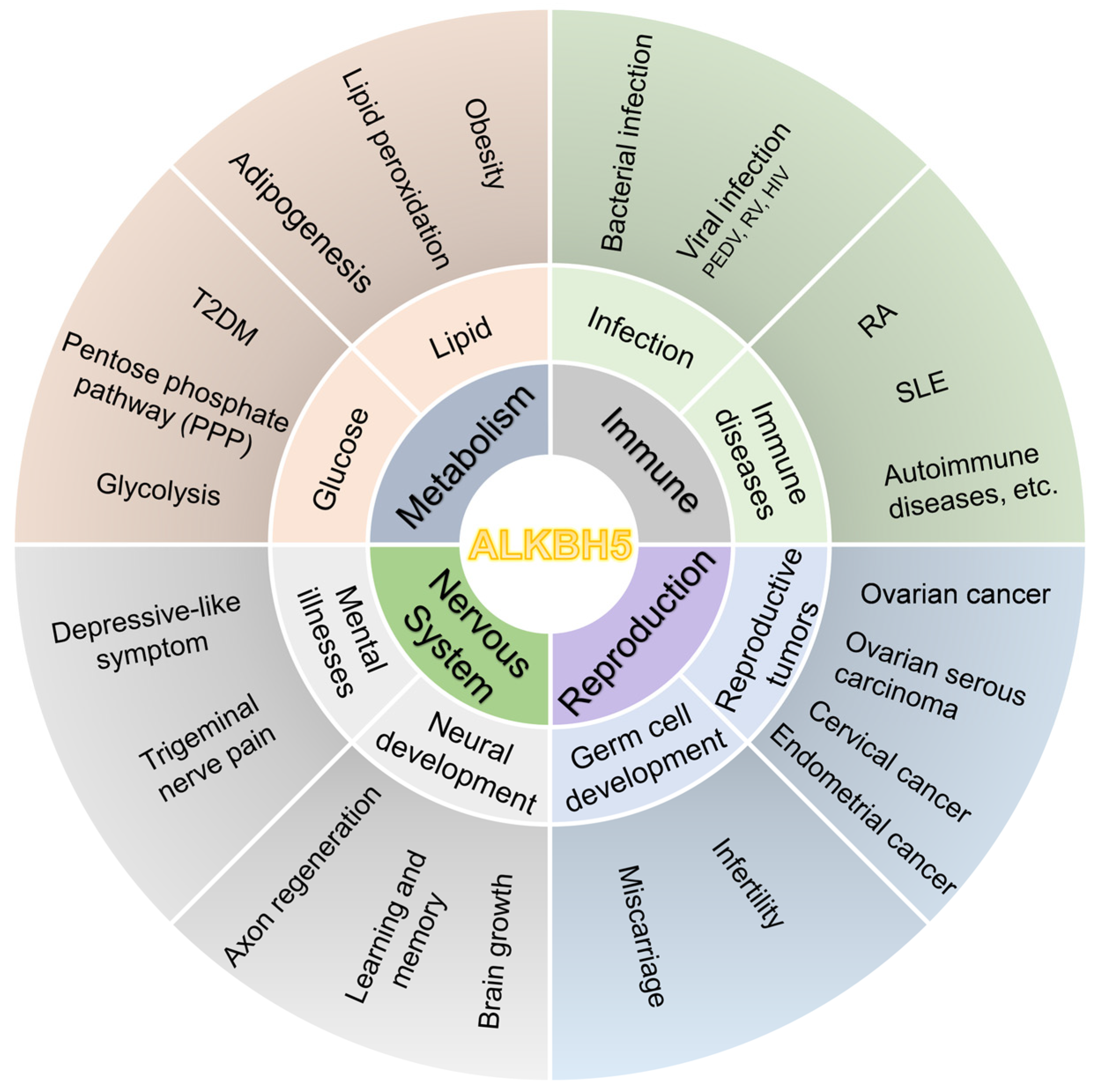 Biomolecules 15 00157 g003