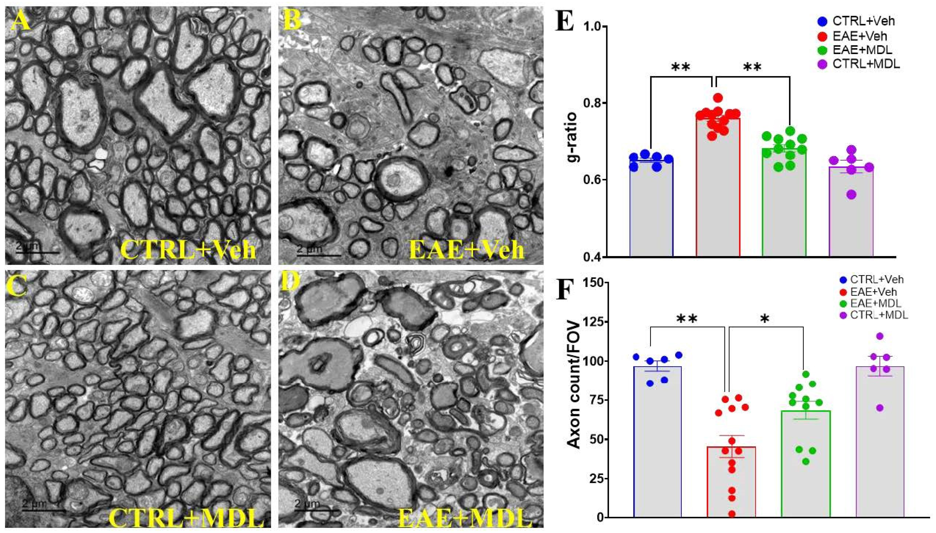 Biomolecules 15 00158 g002