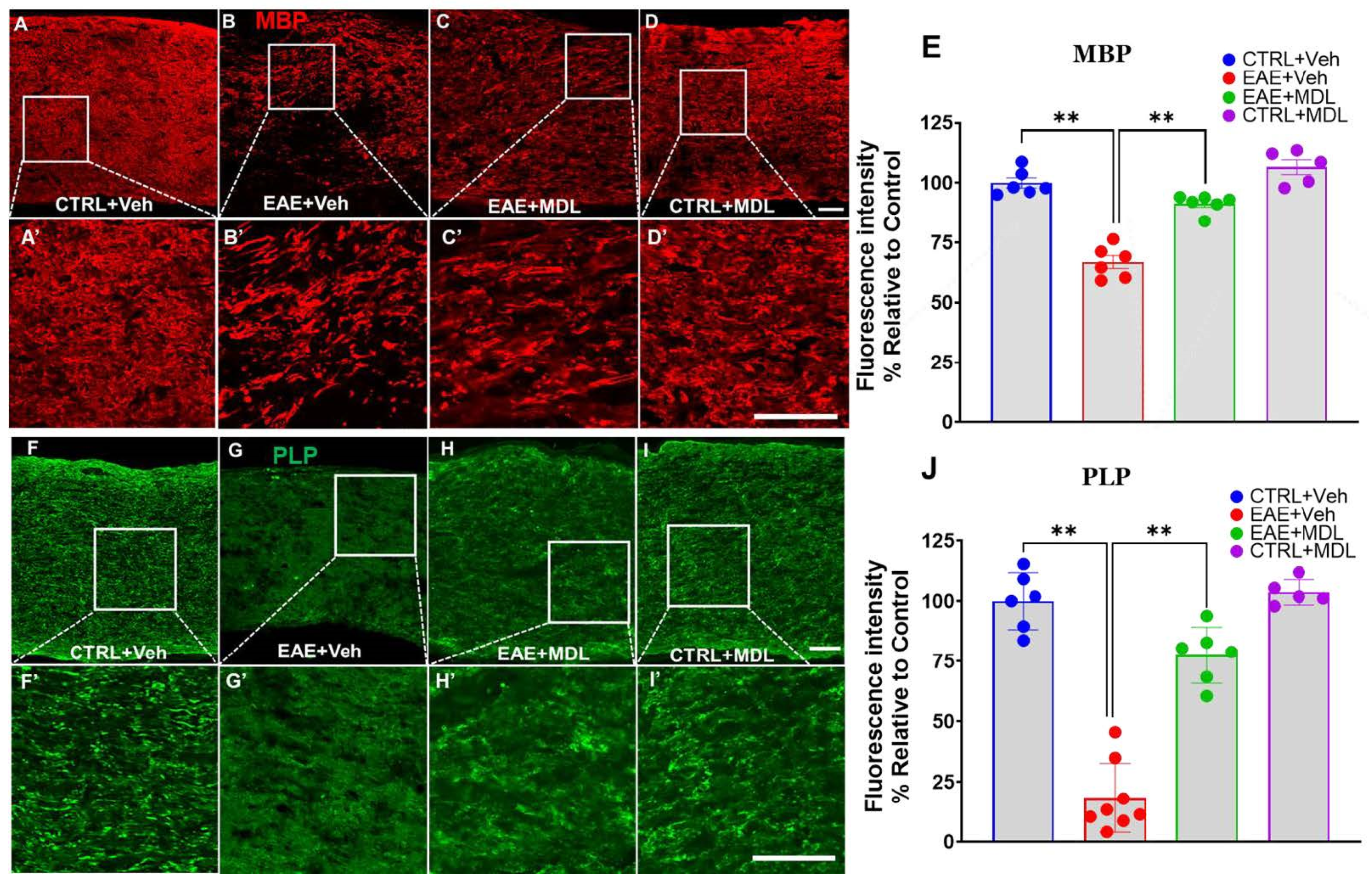 Biomolecules 15 00158 g004