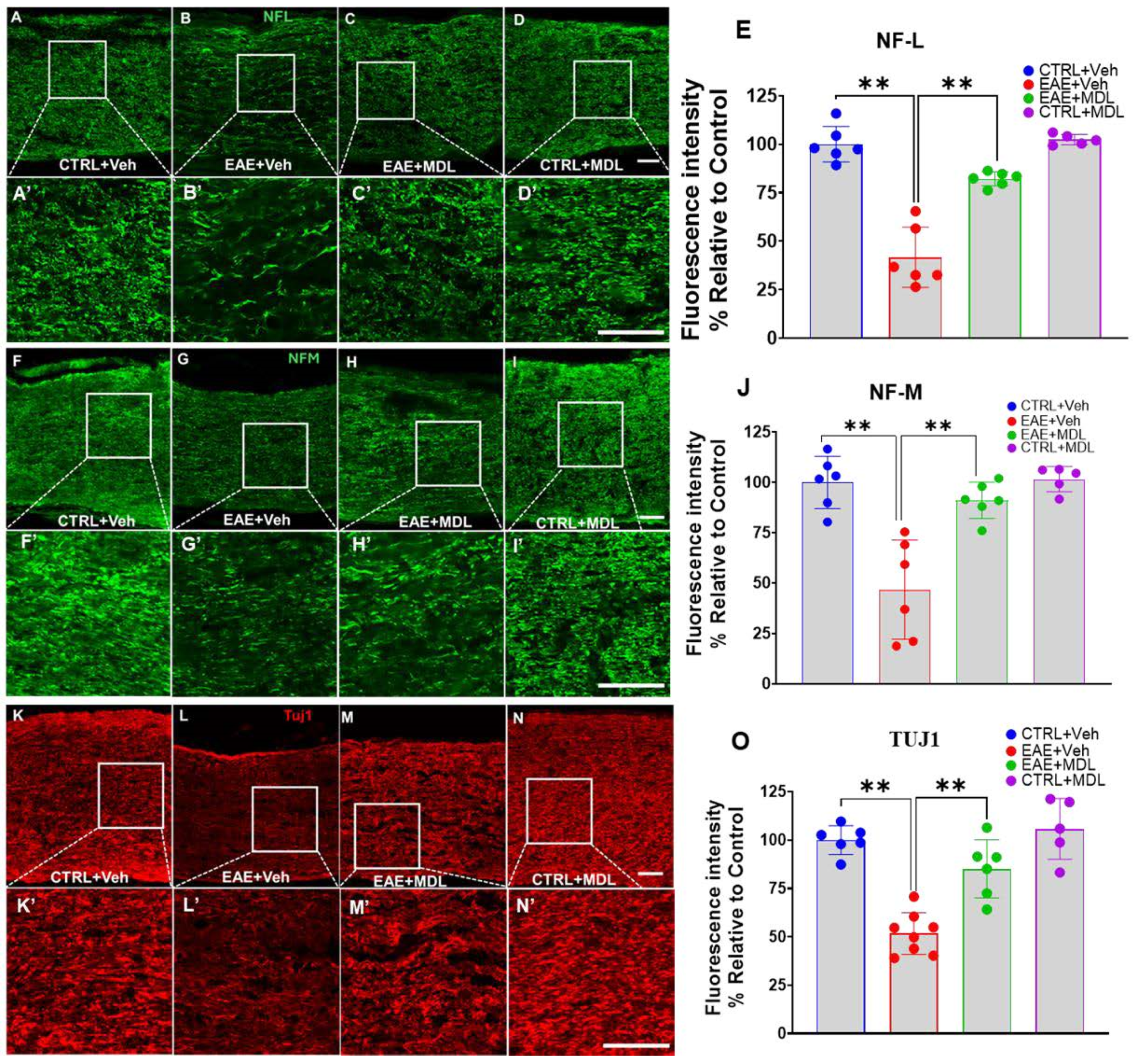 Biomolecules 15 00158 g005
