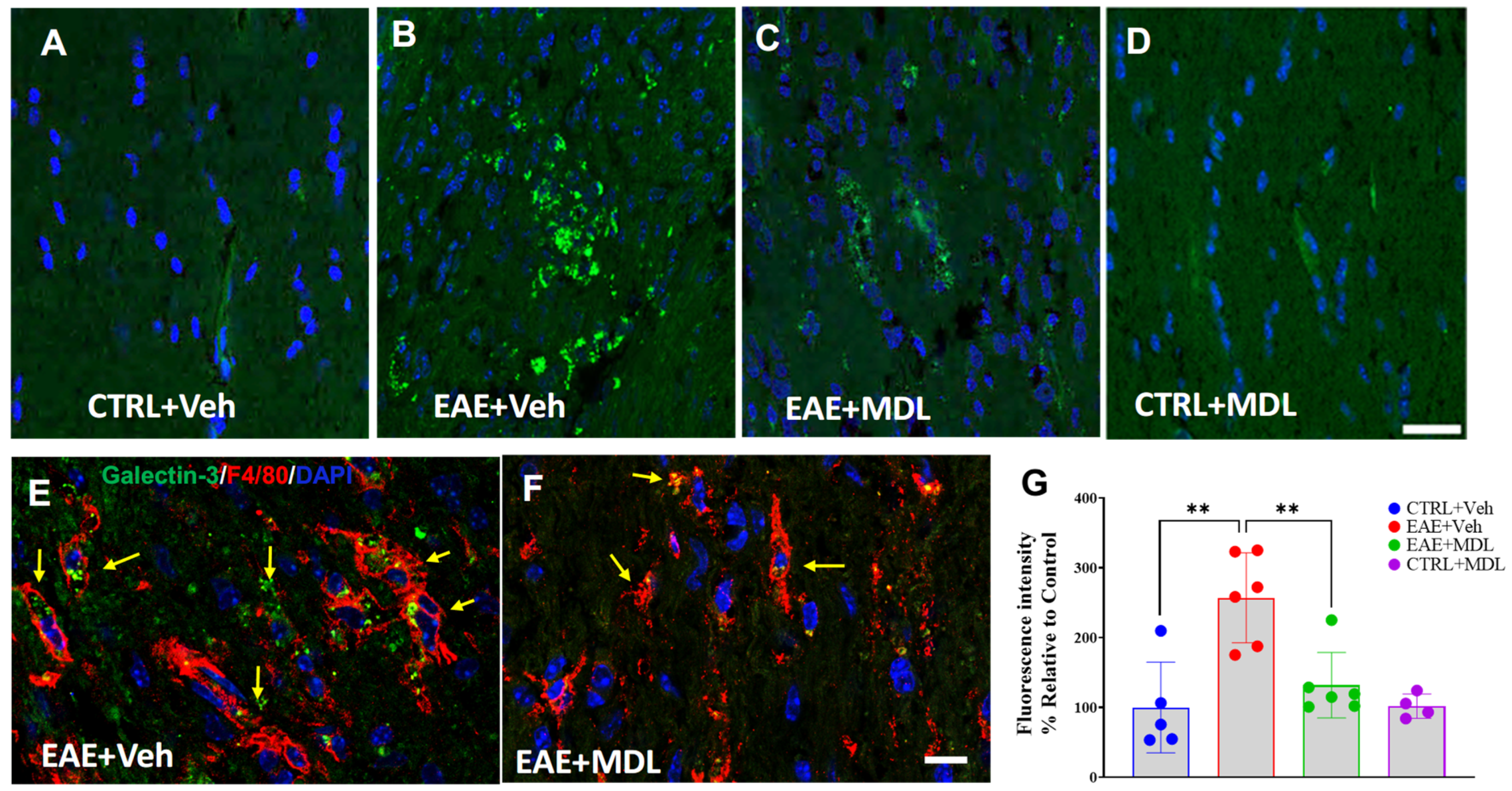 Biomolecules 15 00158 g007