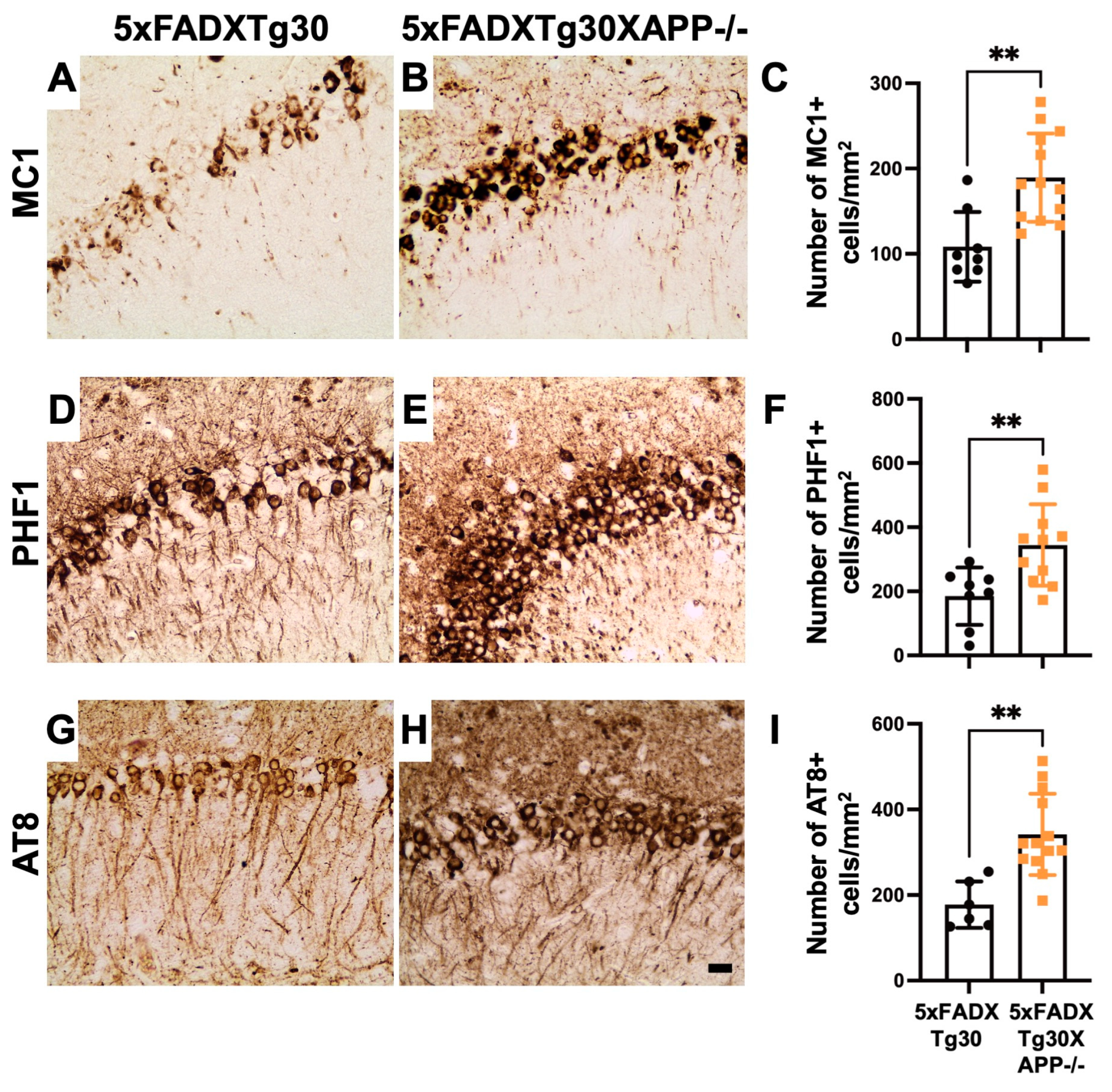 Biomolecules 15 00159 g003