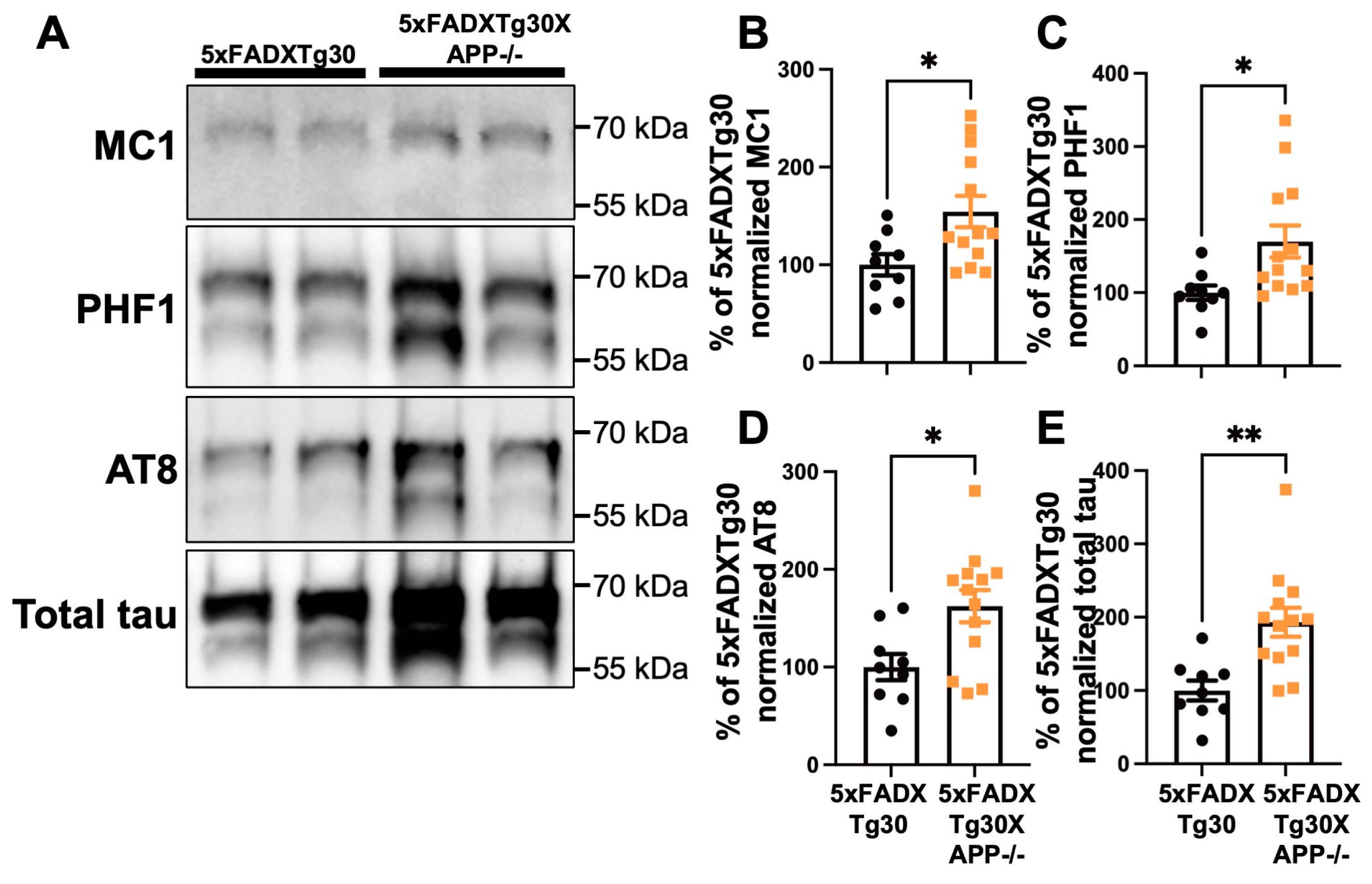 Biomolecules 15 00159 g004