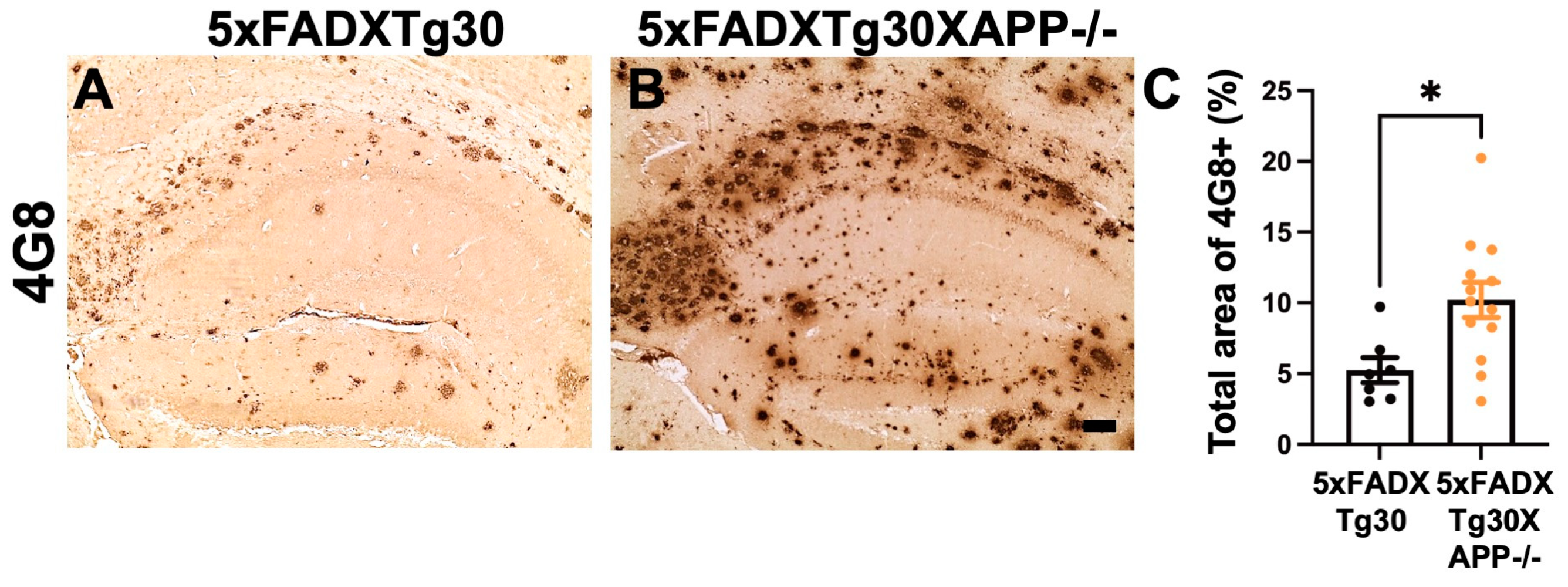 Biomolecules 15 00159 g005
