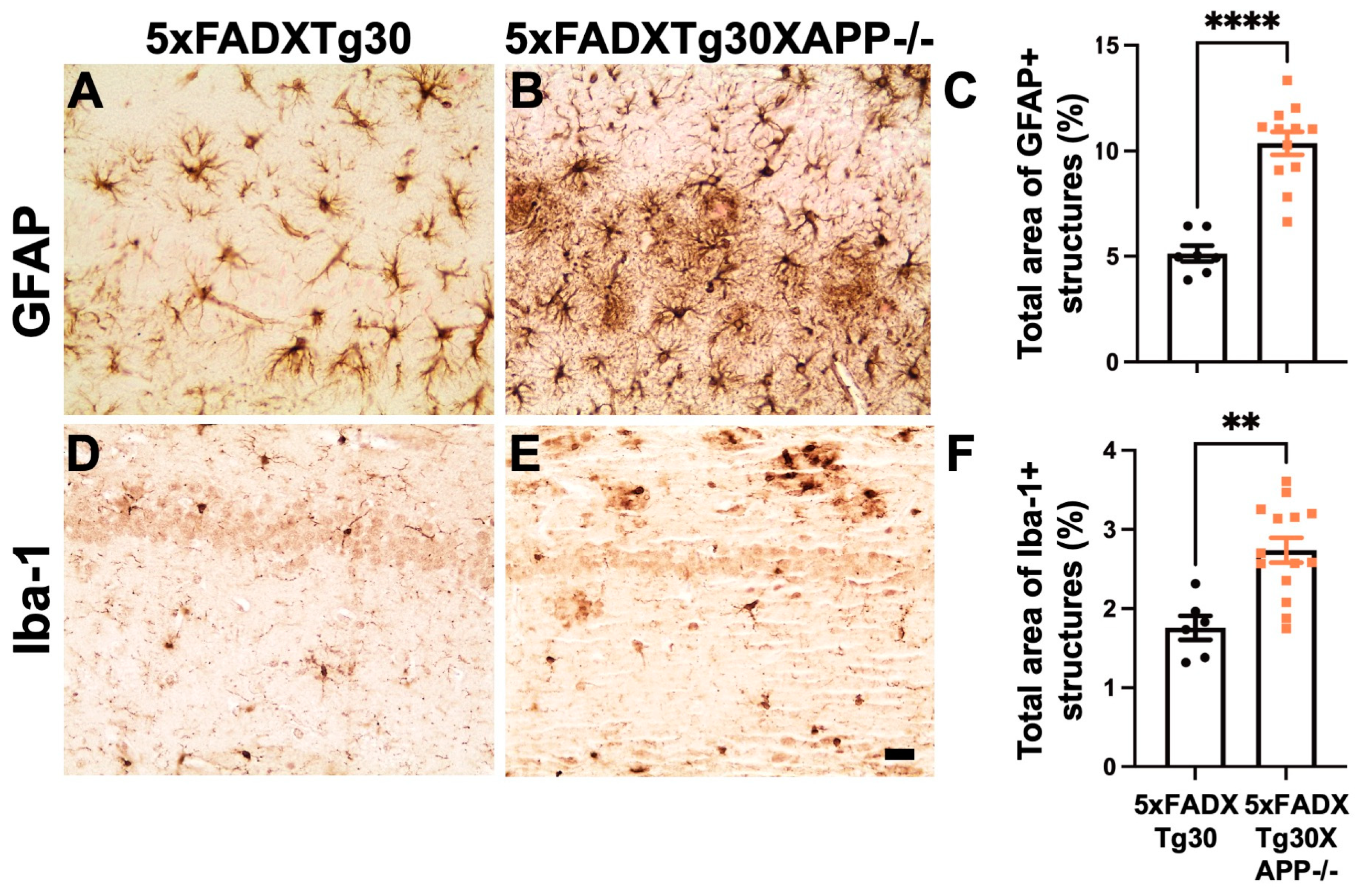 Biomolecules 15 00159 g006