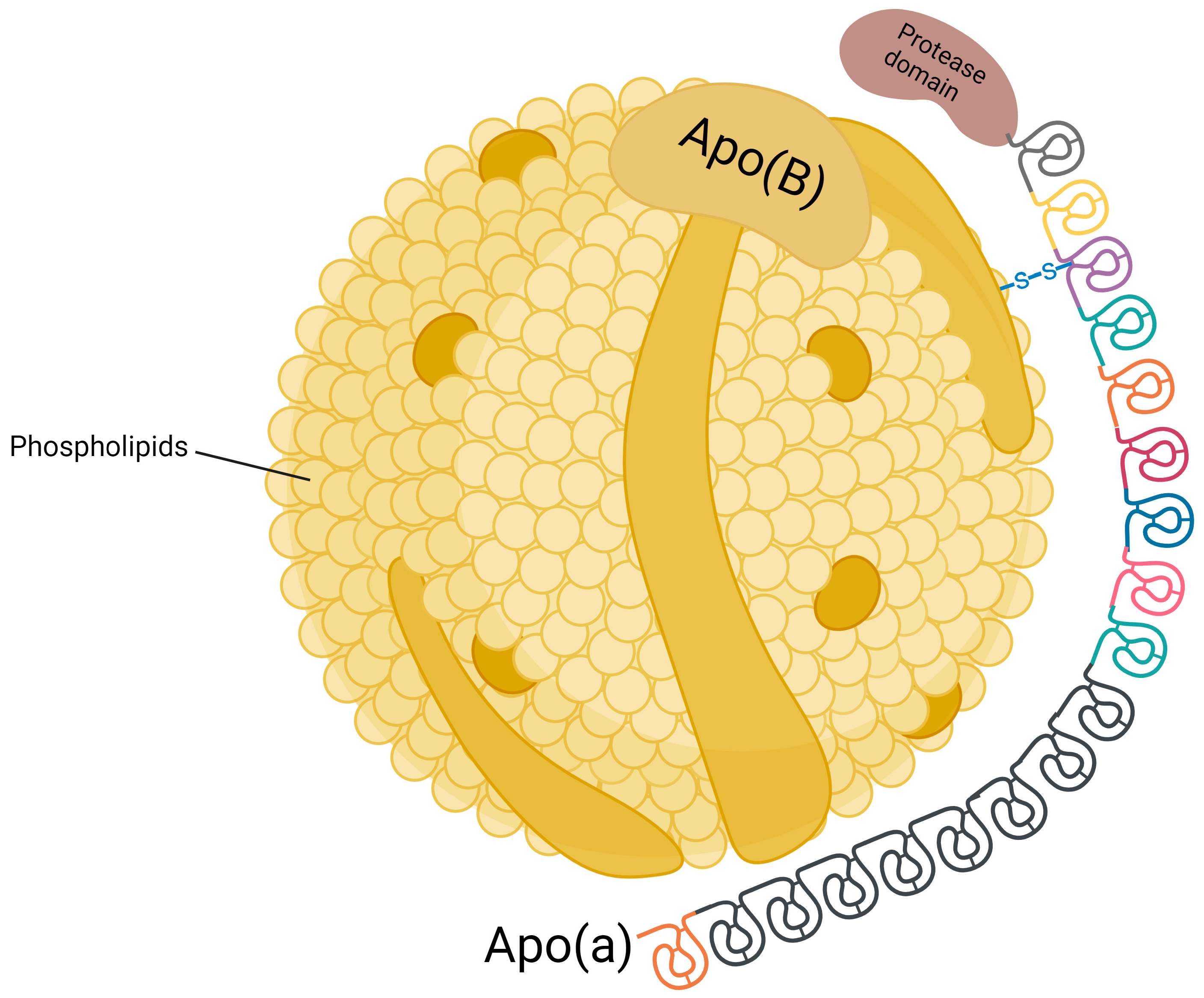 Biomolecules 15 00162 g001