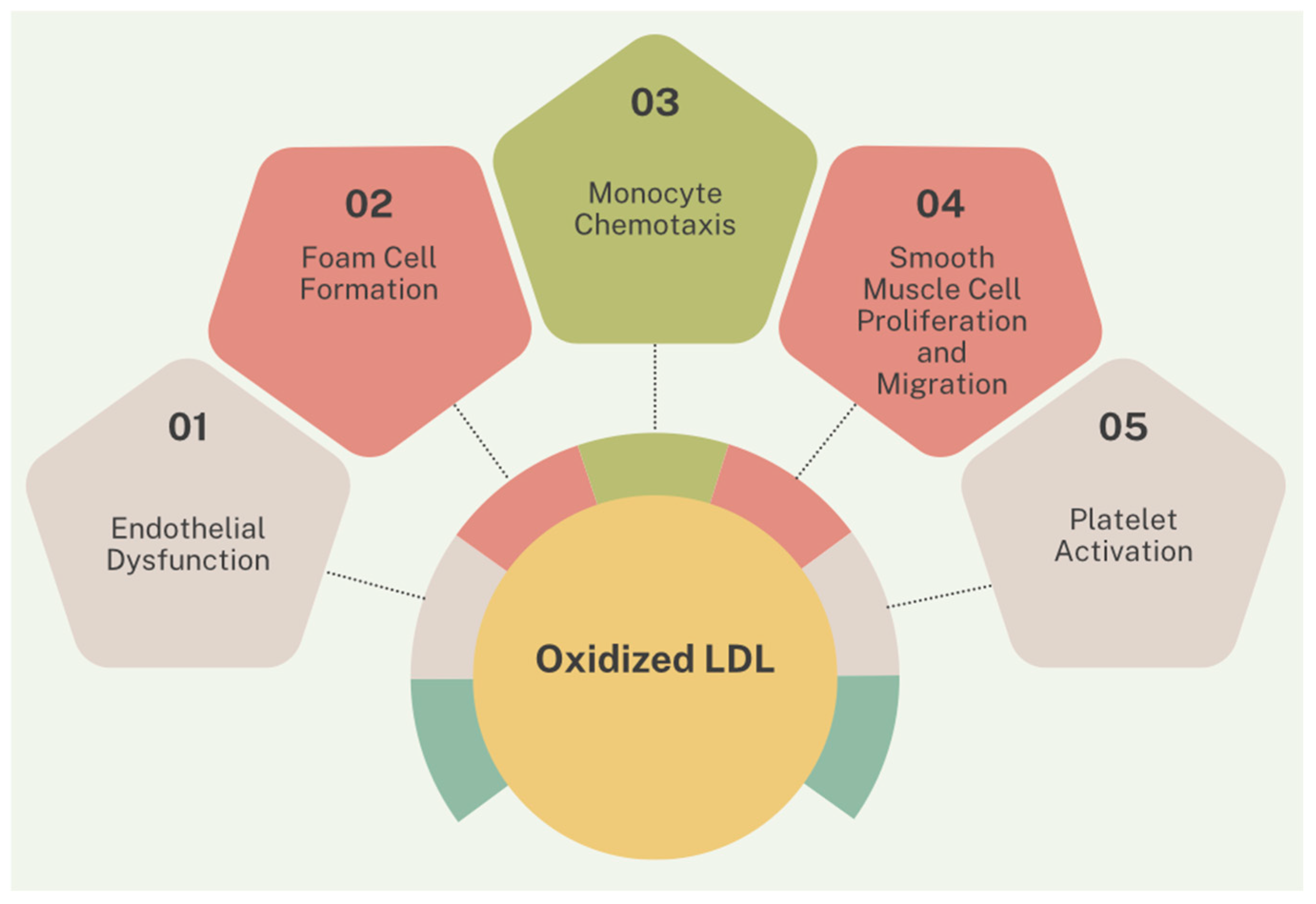 Biomolecules 15 00163 g004