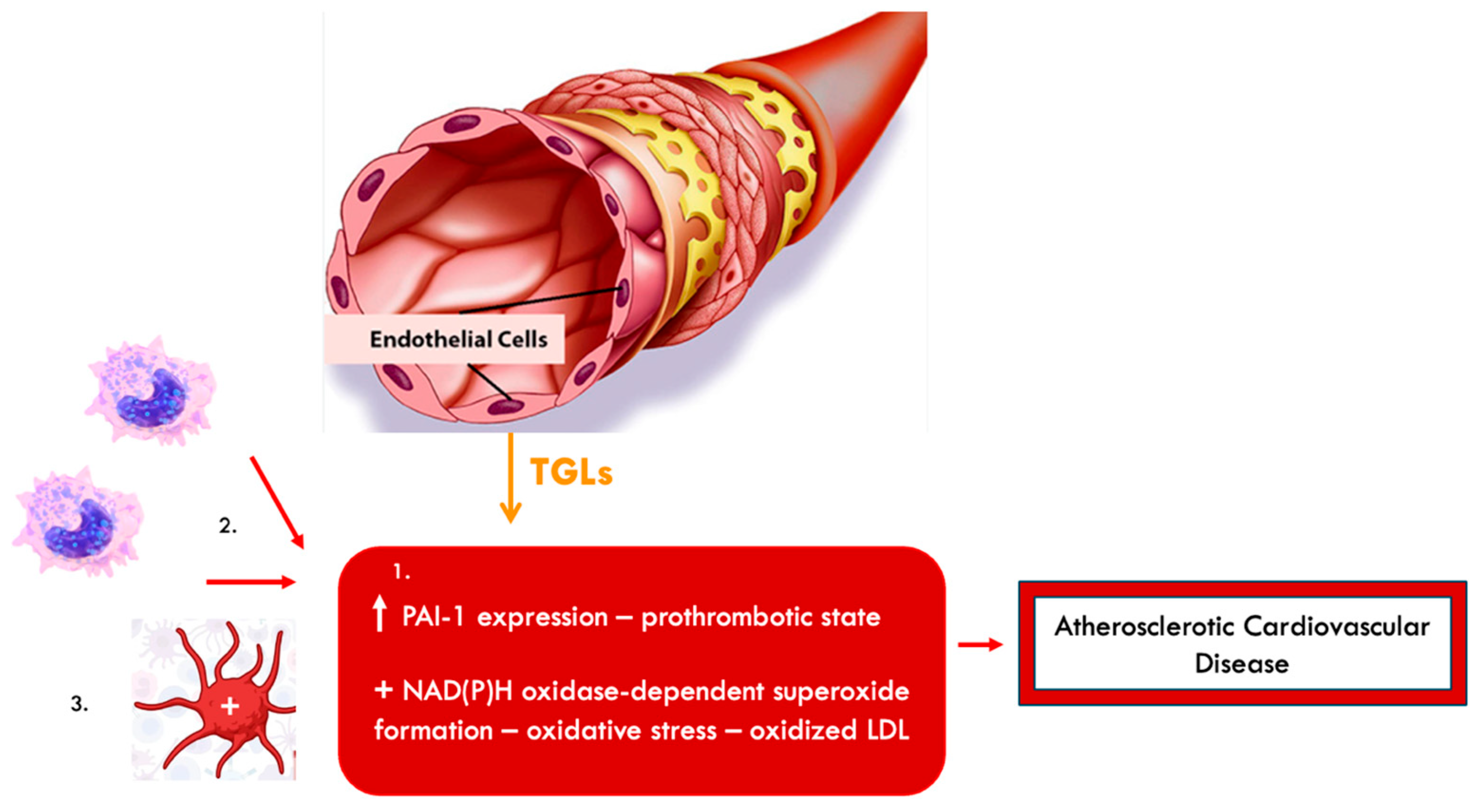Biomolecules 15 00163 g005