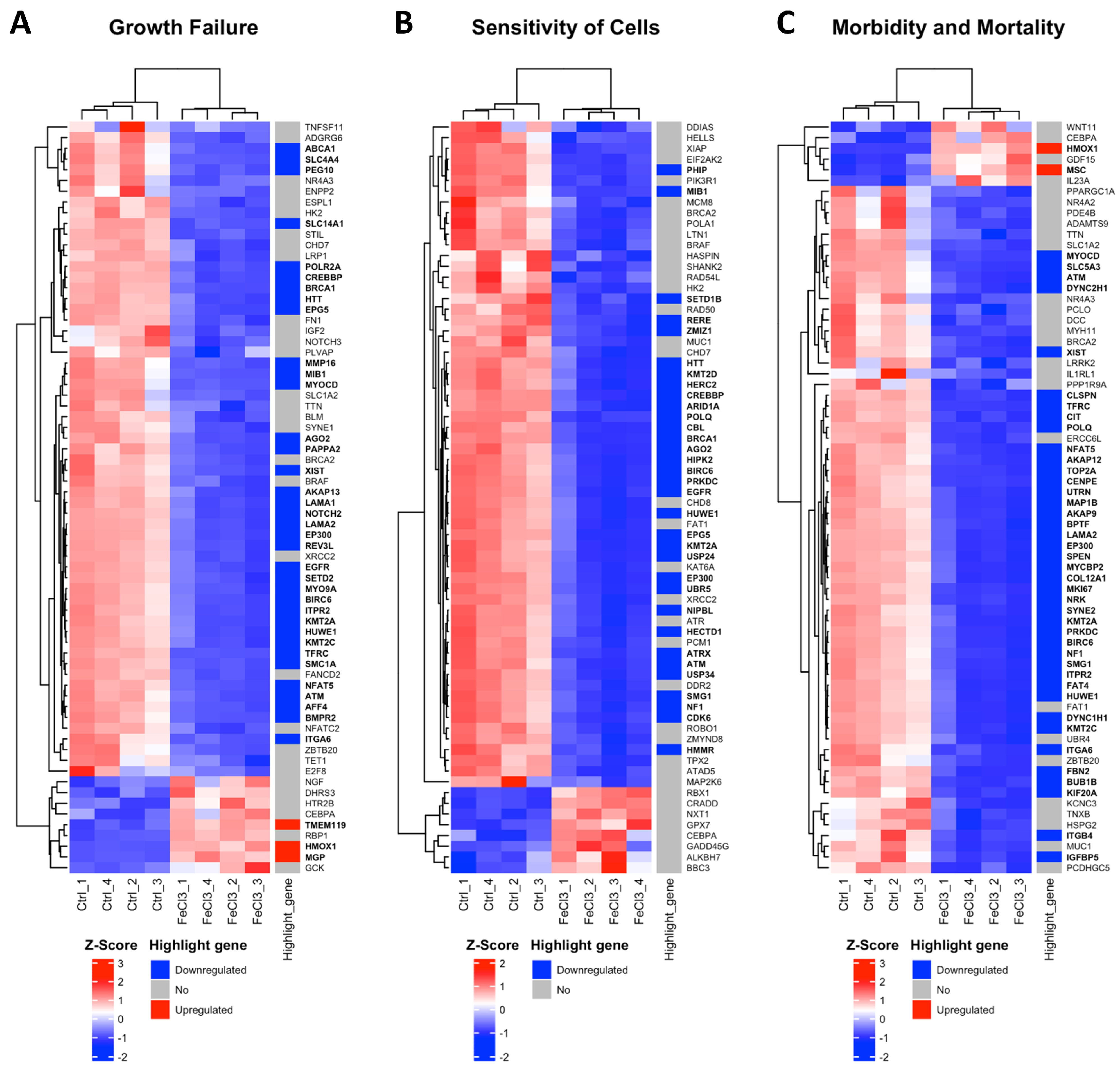 Biomolecules 15 00164 g003