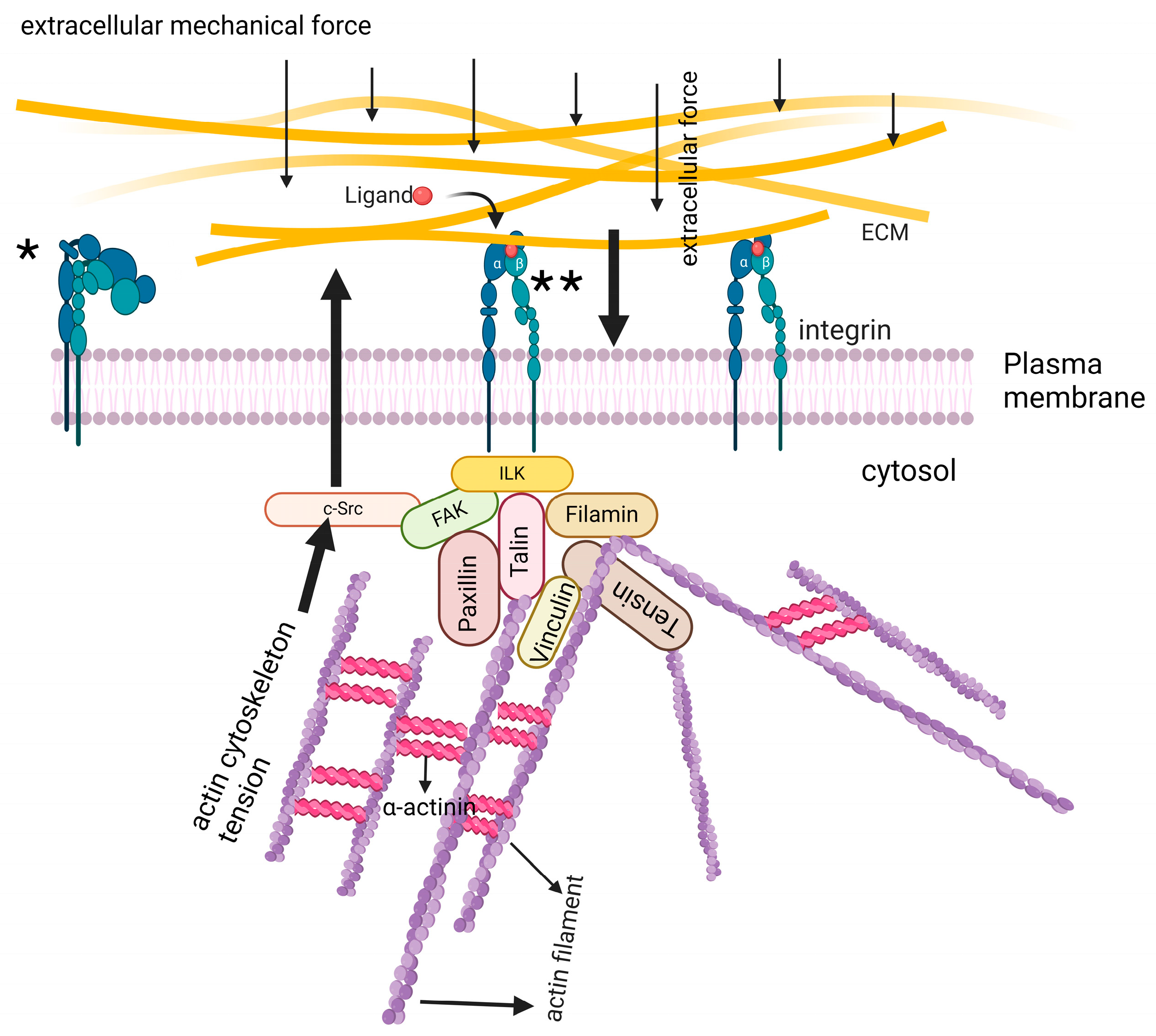 Biomolecules 15 00166 g001 Biomolecules 15 00166 g001
